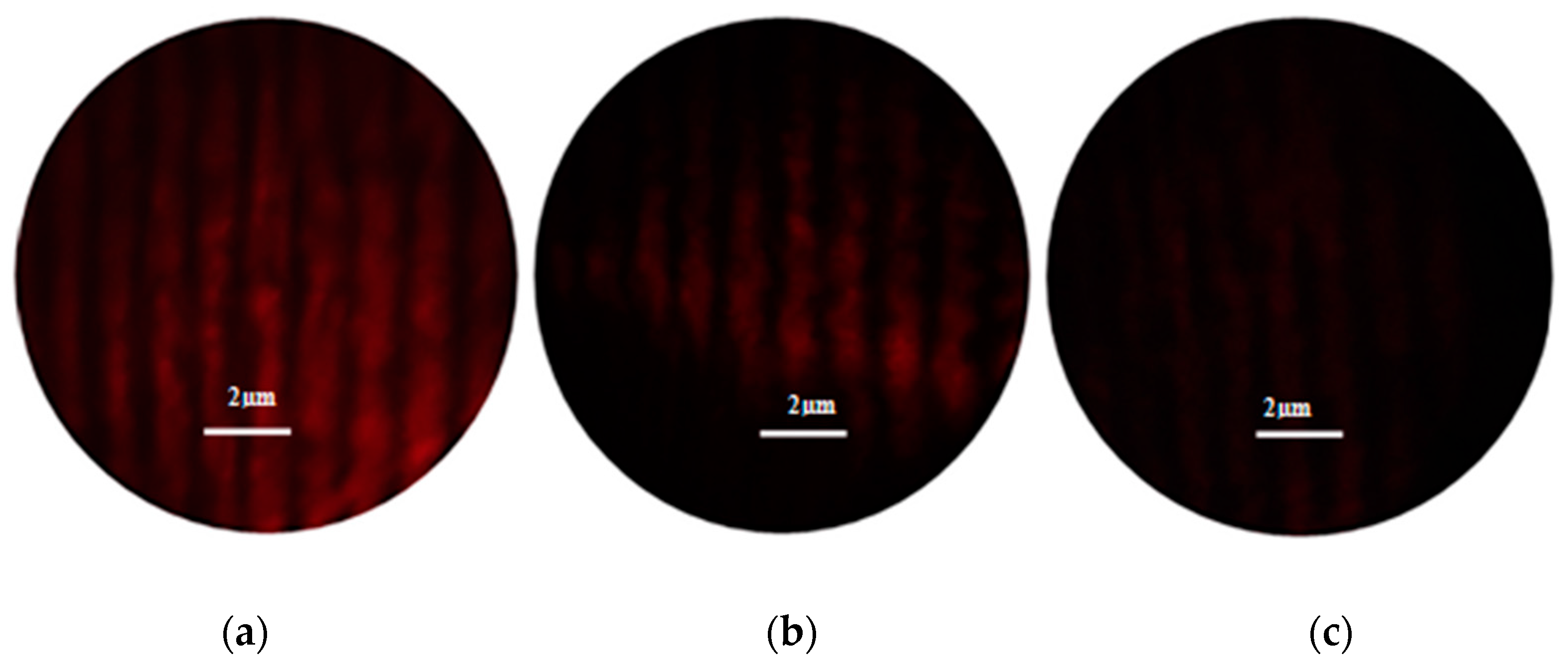 Ceramics 08 00142 g006