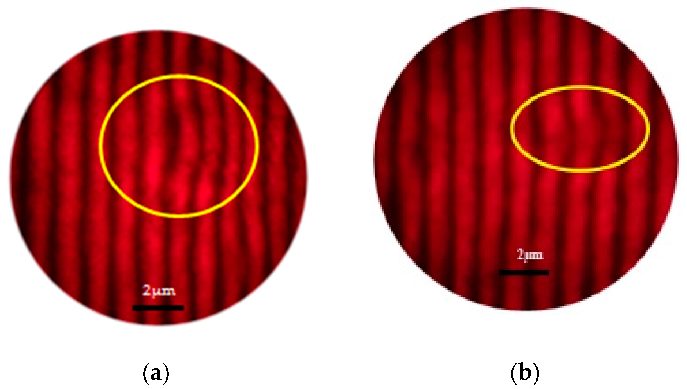 Ceramics 08 00142 g007