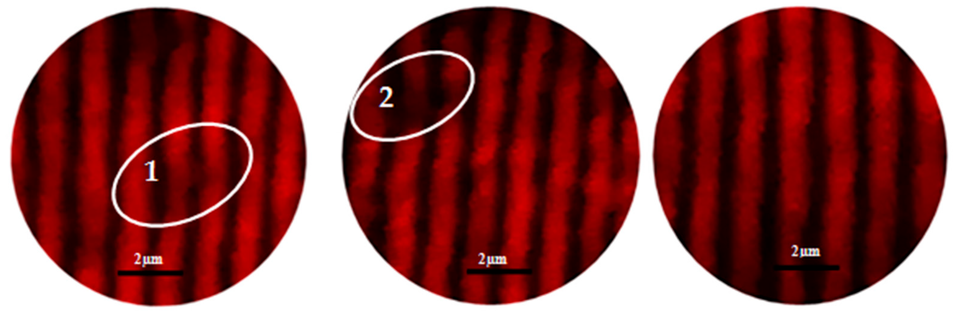 Ceramics 08 00142 g010