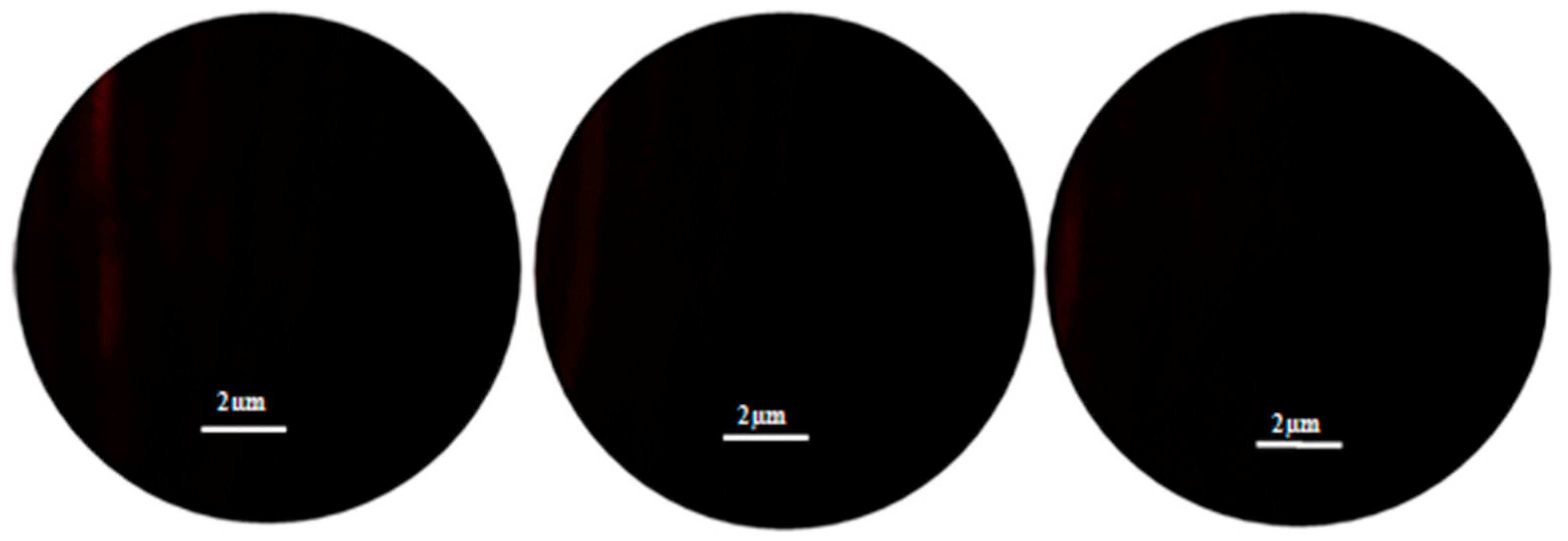 Ceramics 08 00142 g011