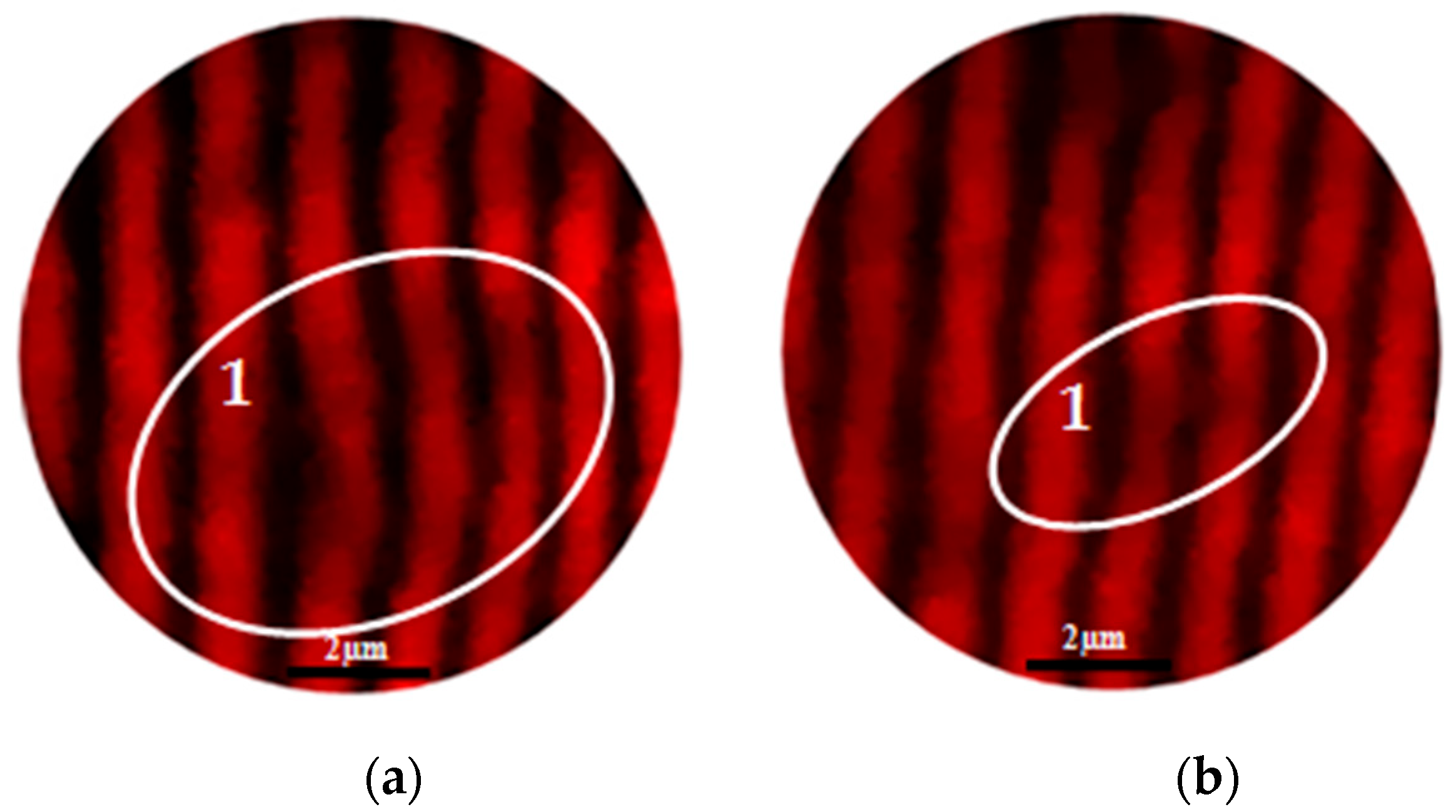 Ceramics 08 00142 g012