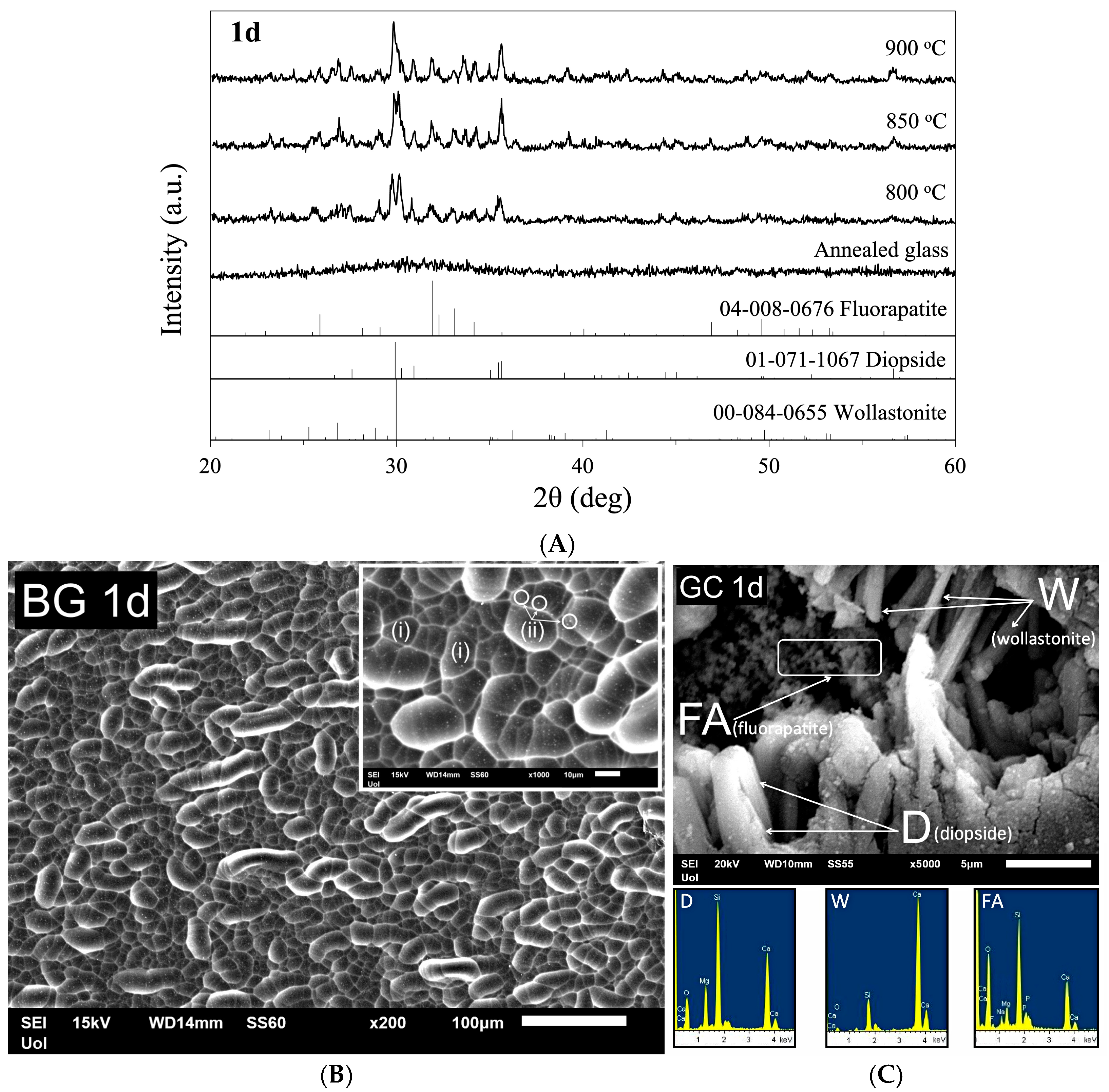 Ceramics 08 00145 g007