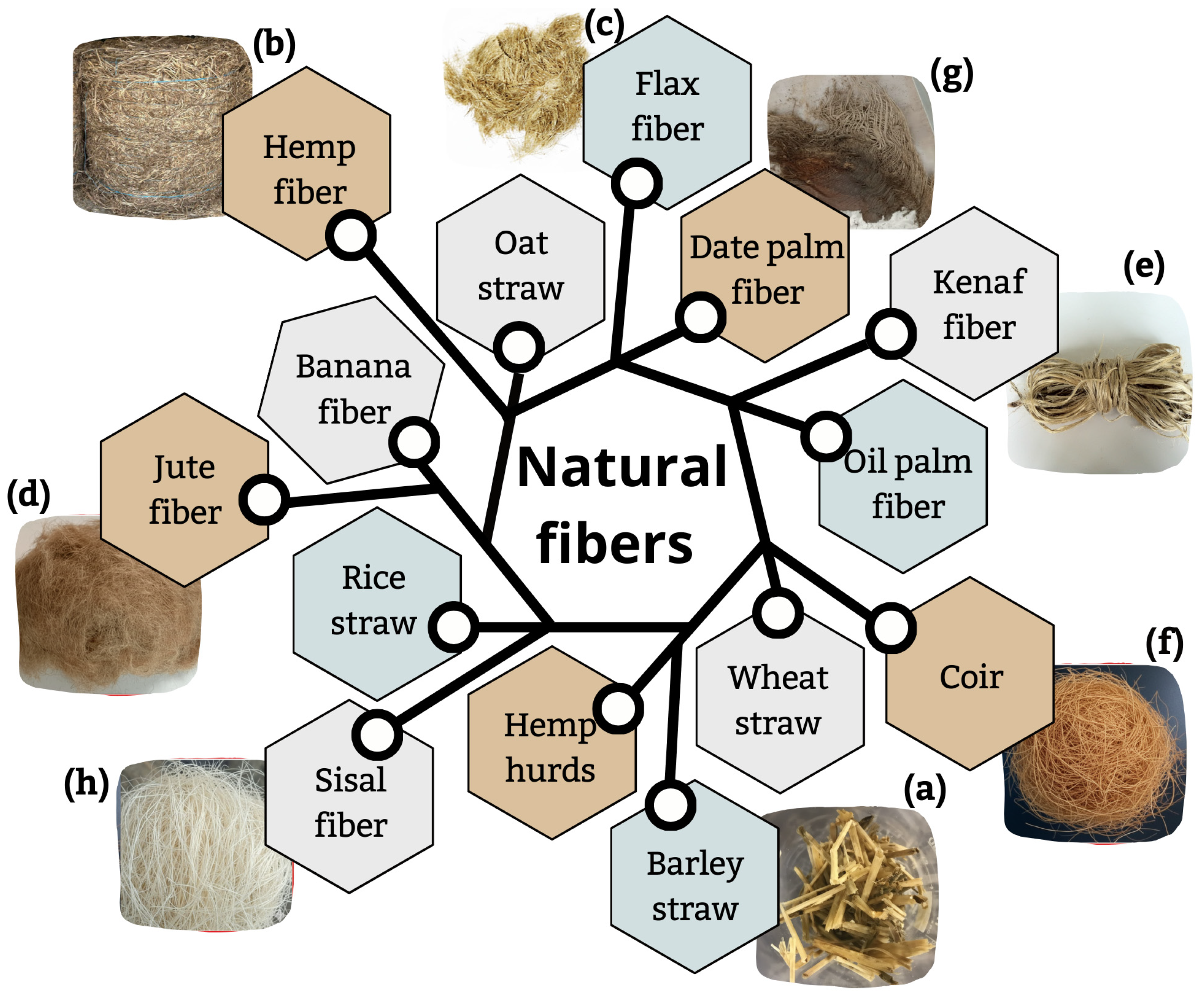 Ceramics 08 00148 g004 Ceramics 08 00148 g004