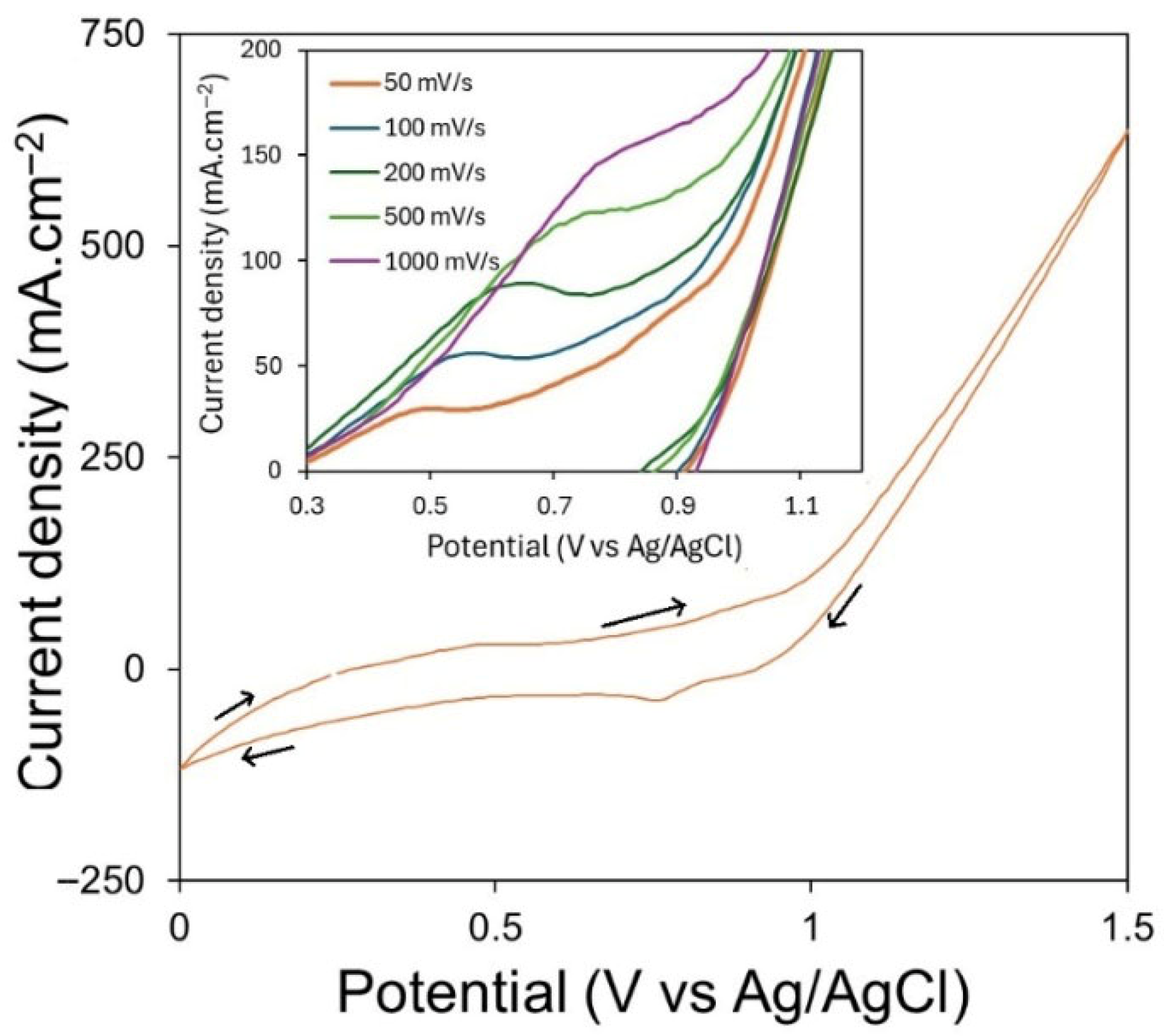 Ceramics 08 00150 g006