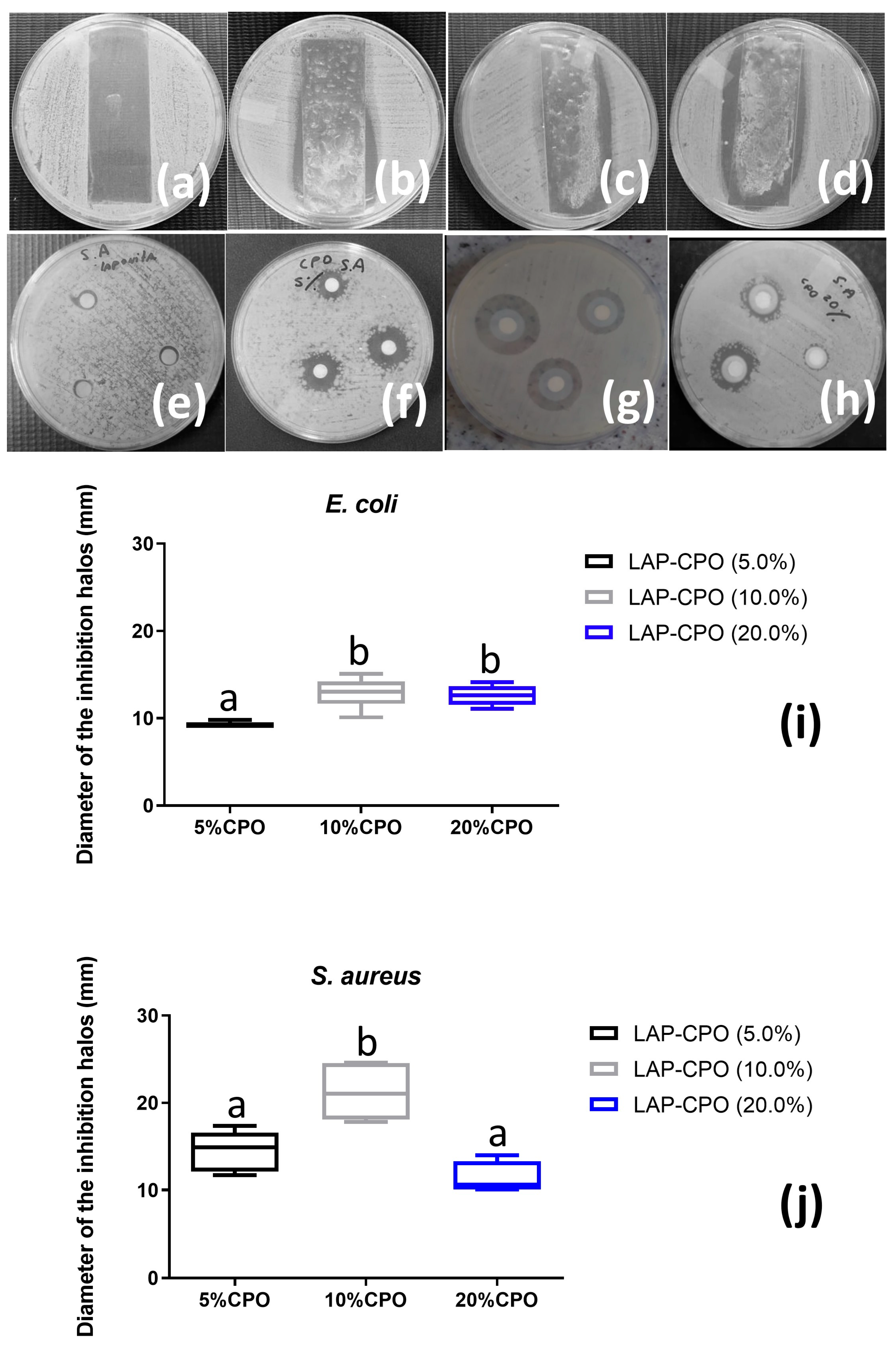 Ceramics 09 00004 g004