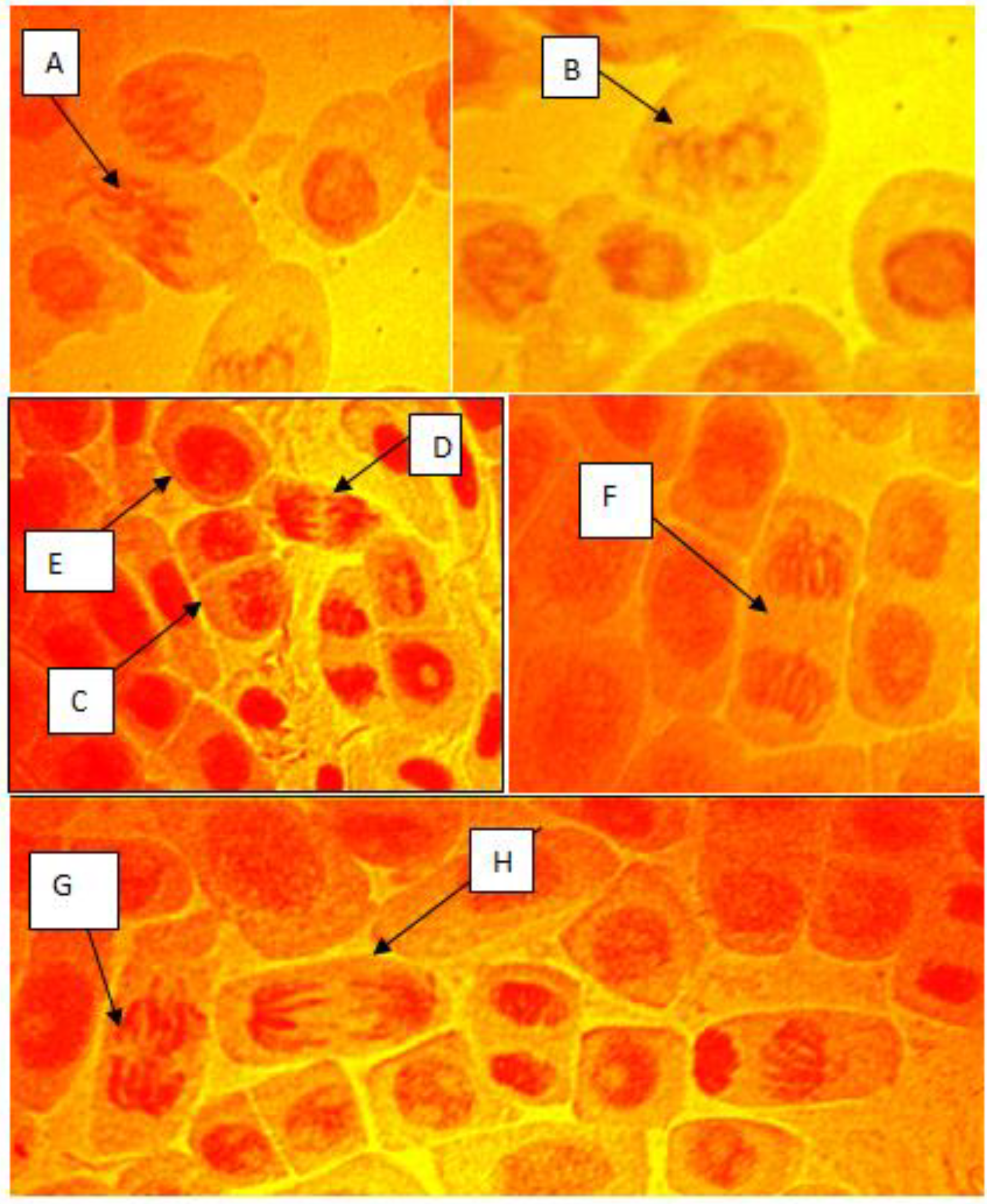 Challenges 06 00173 g004