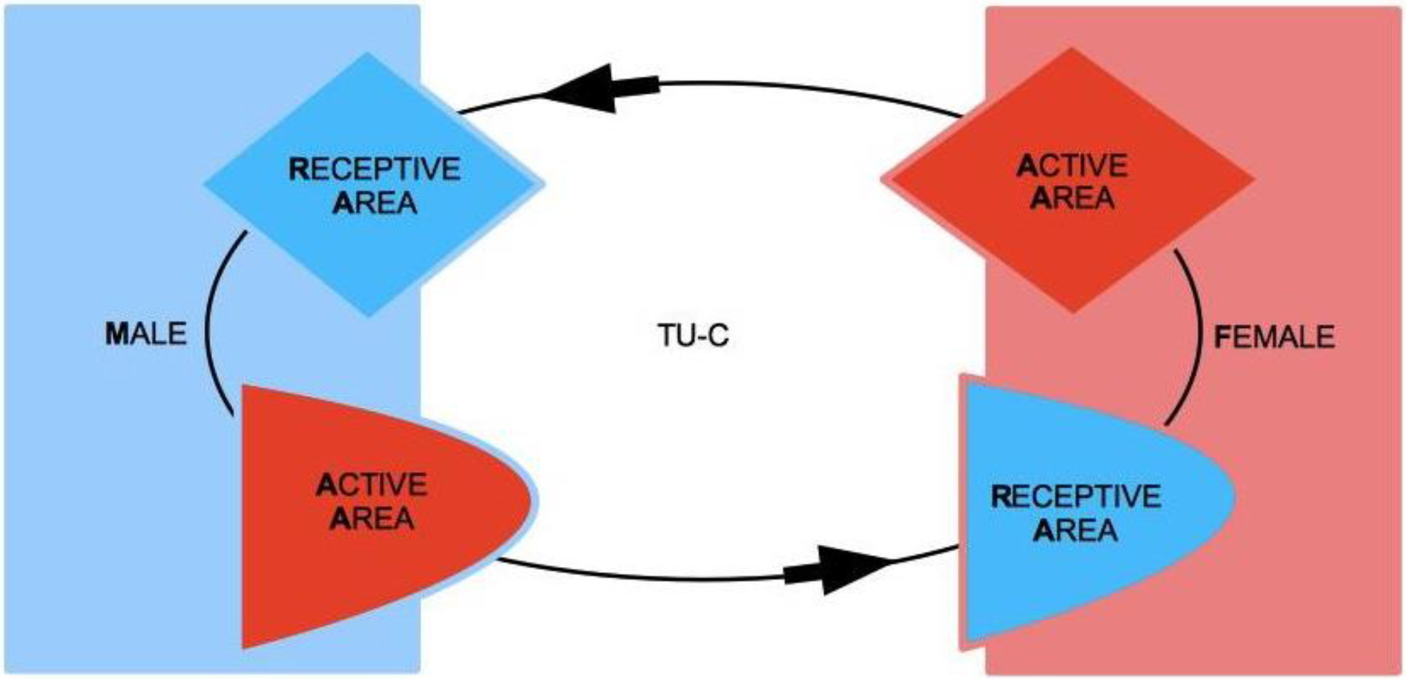 Challenges Free Full-Text Tie-Up Cycles in Long-Term Mating