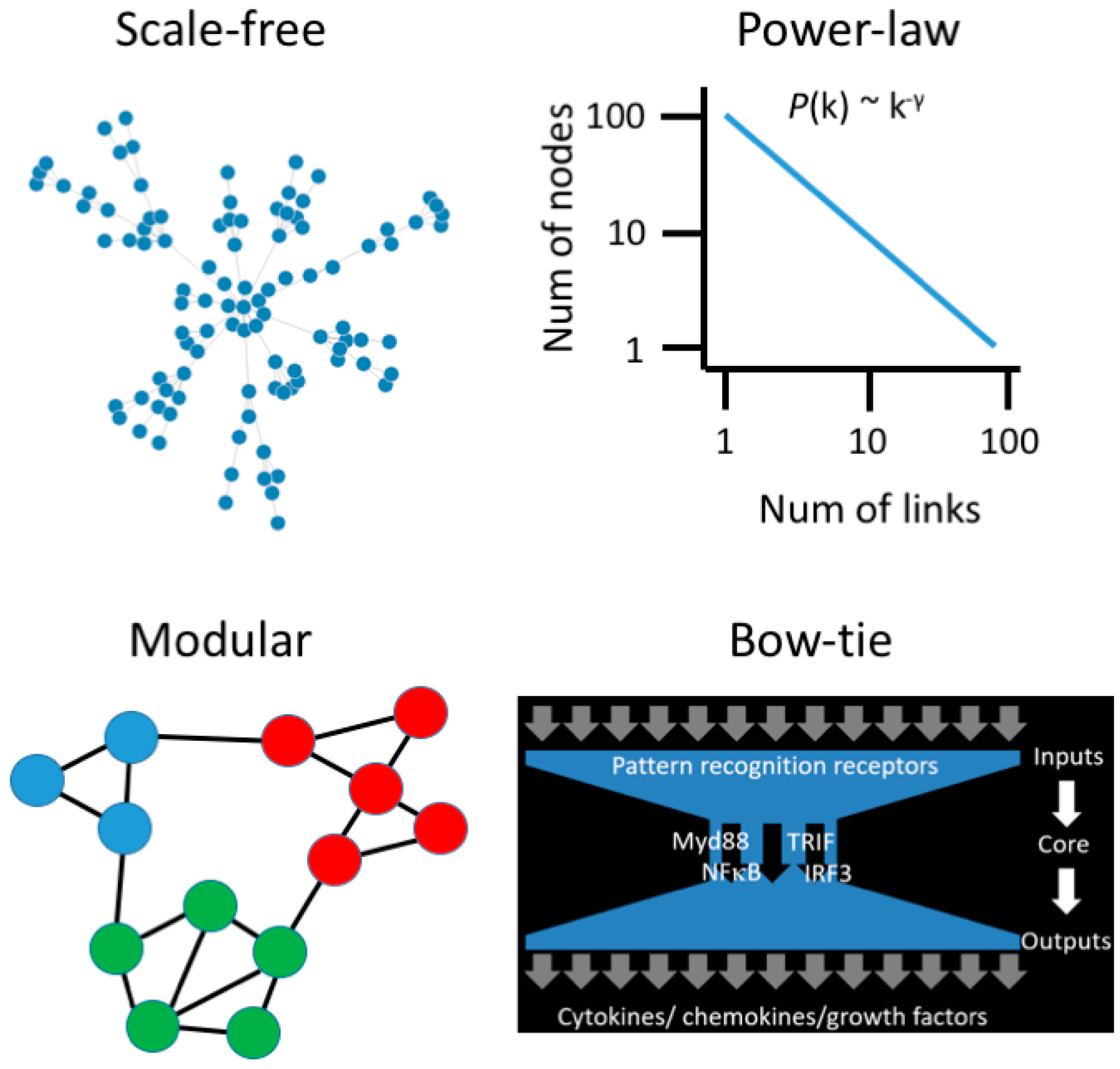 Frontiers  Ethical layering in AI-driven polygenic risk scores—New  complexities, new challenges