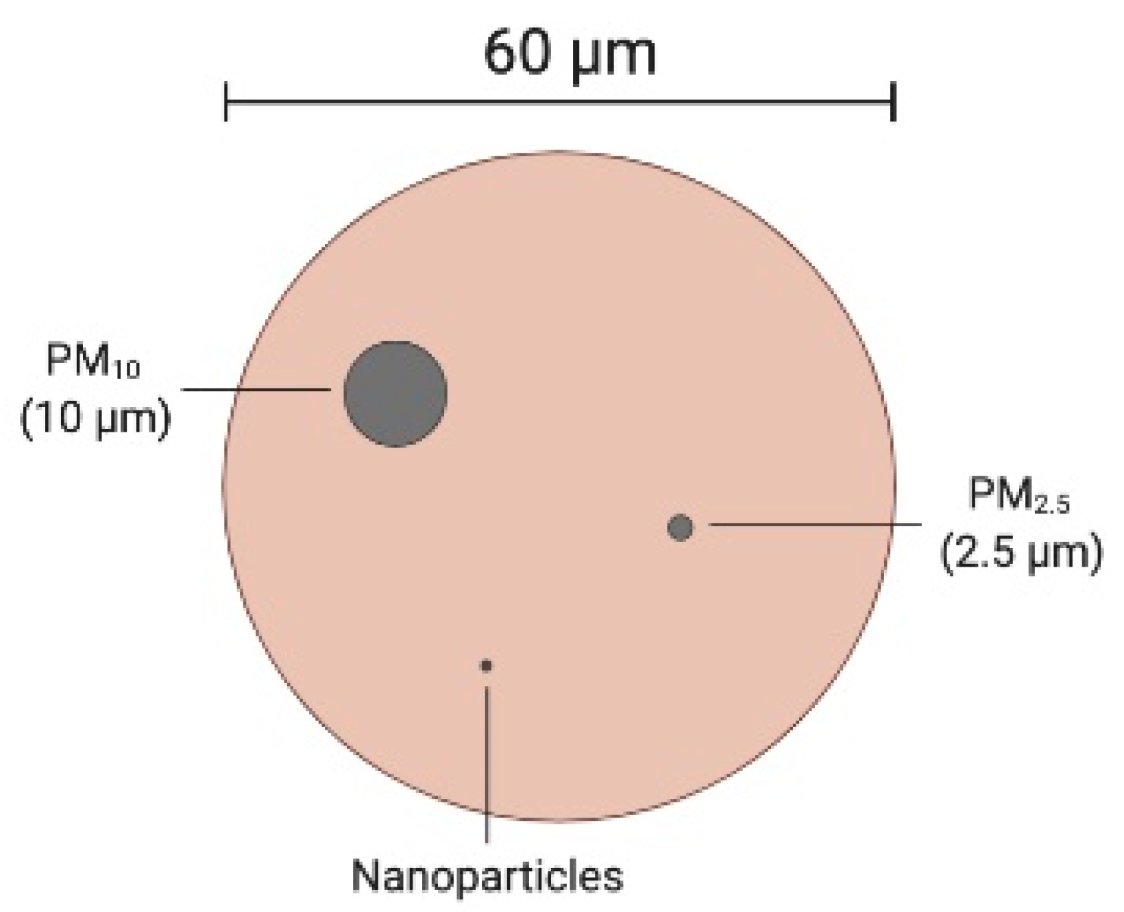 Challenges 11 00006 g003