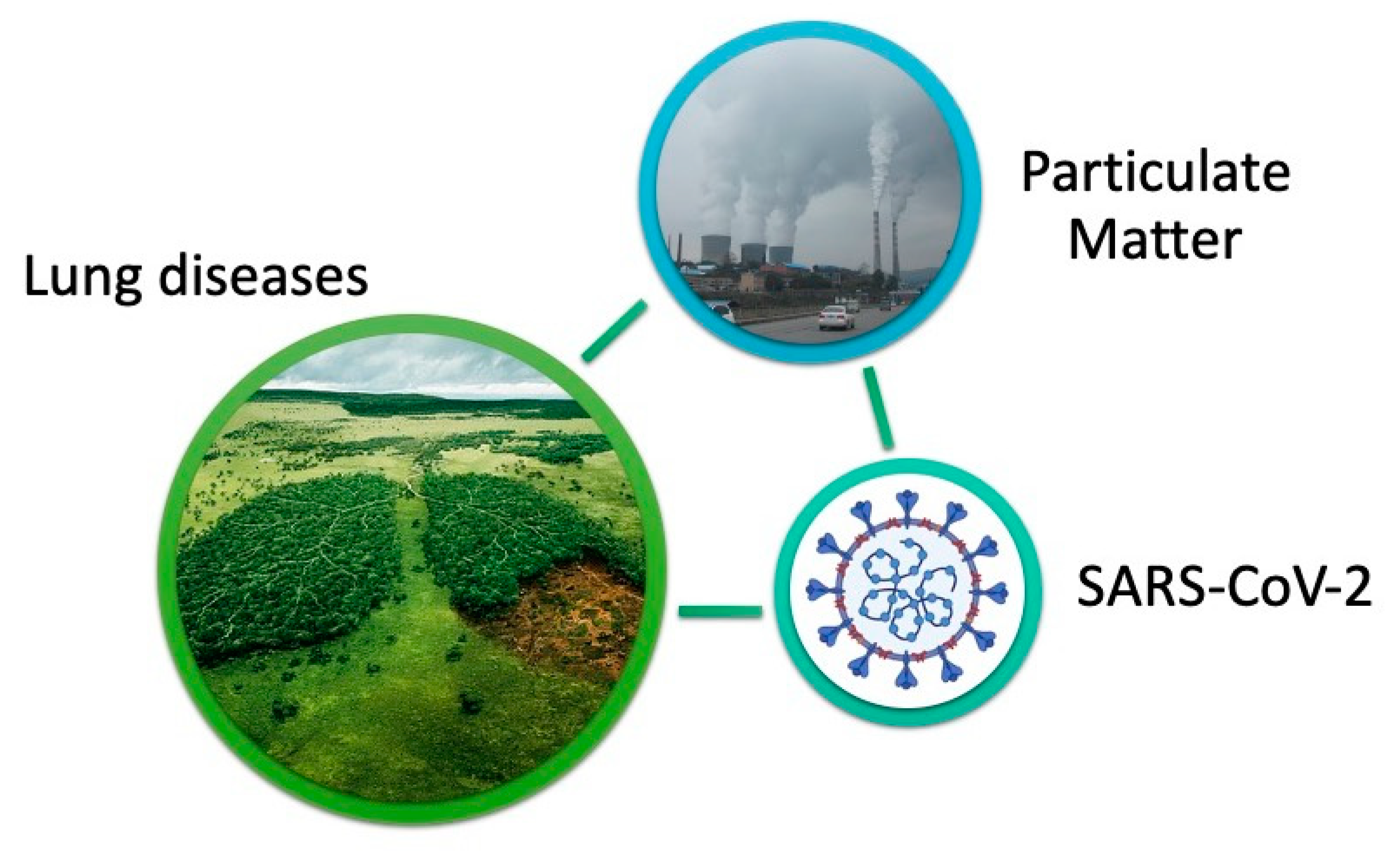 Challenges 11 00006 g006