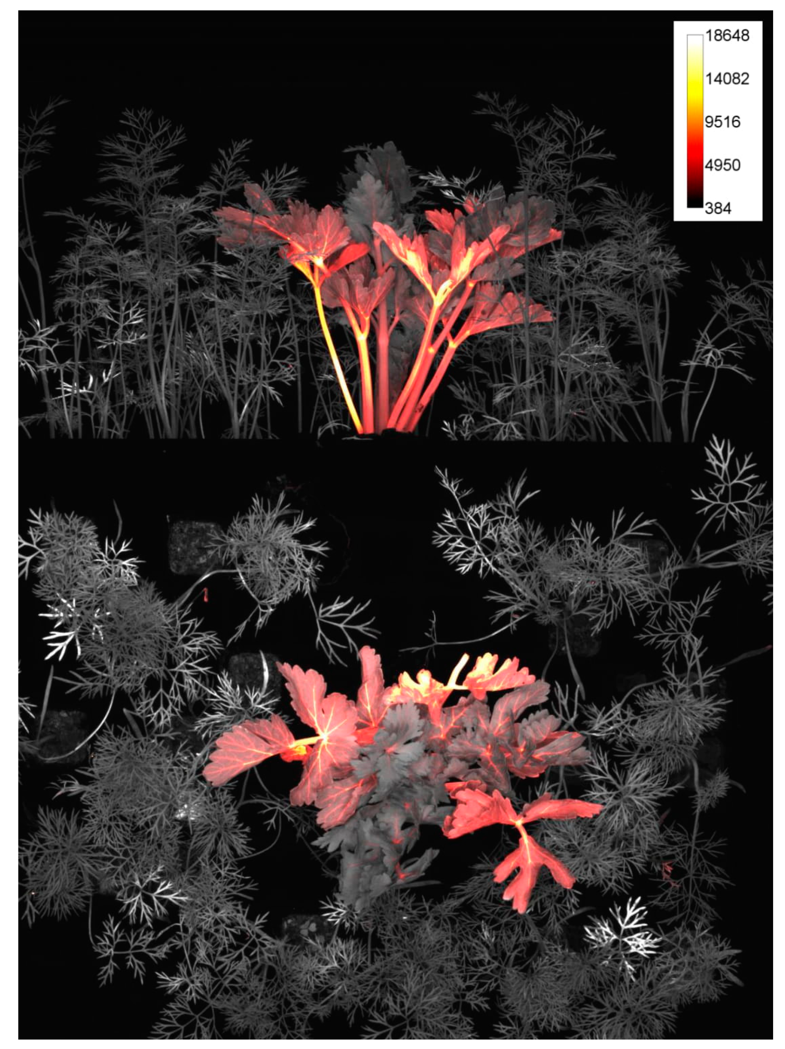 Challenges 11 00023 g002