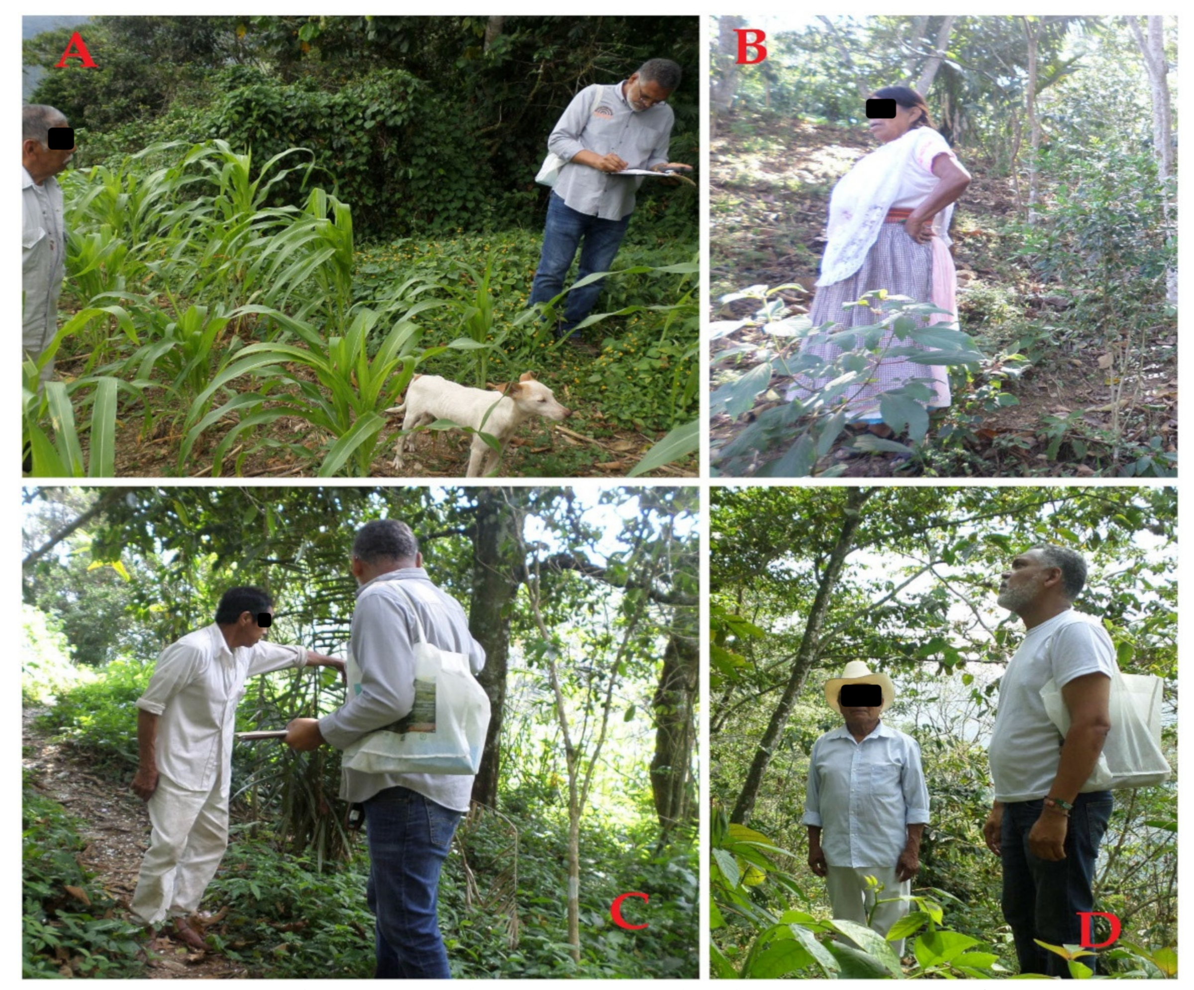 Challenges 12 00015 g002 Challenges 12 00015 g002