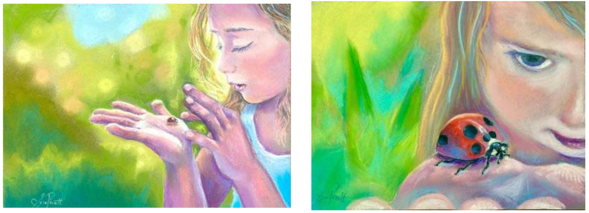 Challenges 12 00026 g003