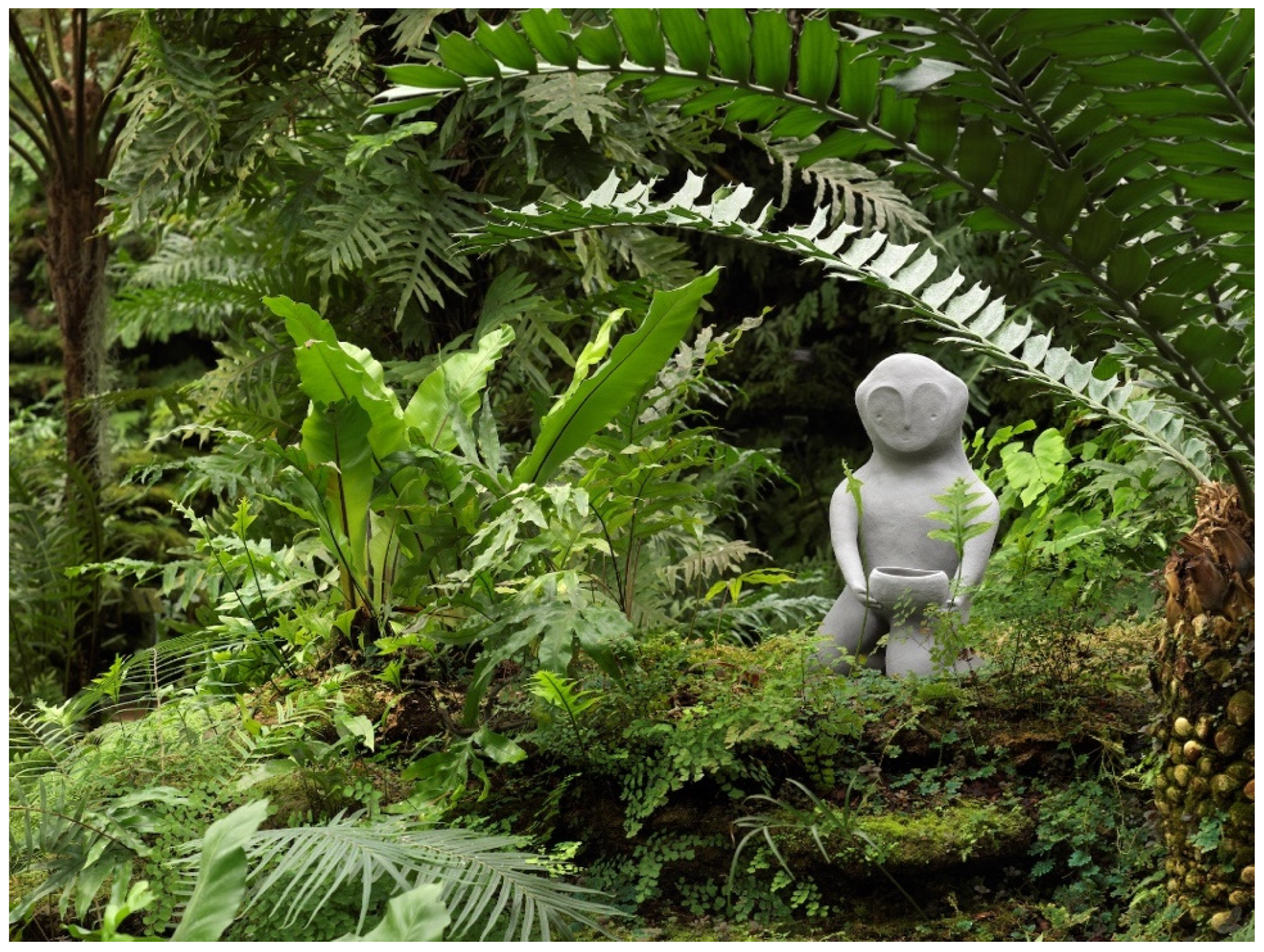 Challenges 13 00020 g002 550