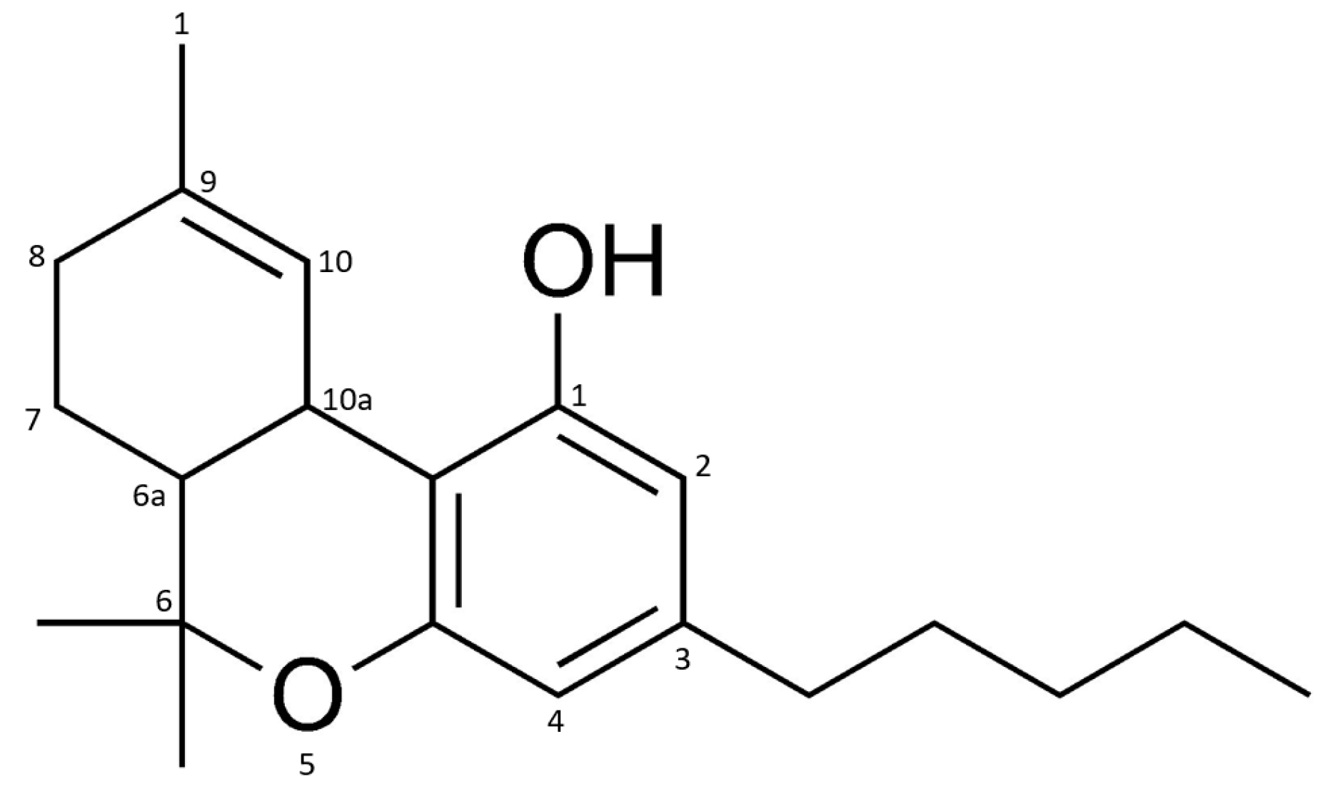Challenges 13 00032 g001 550