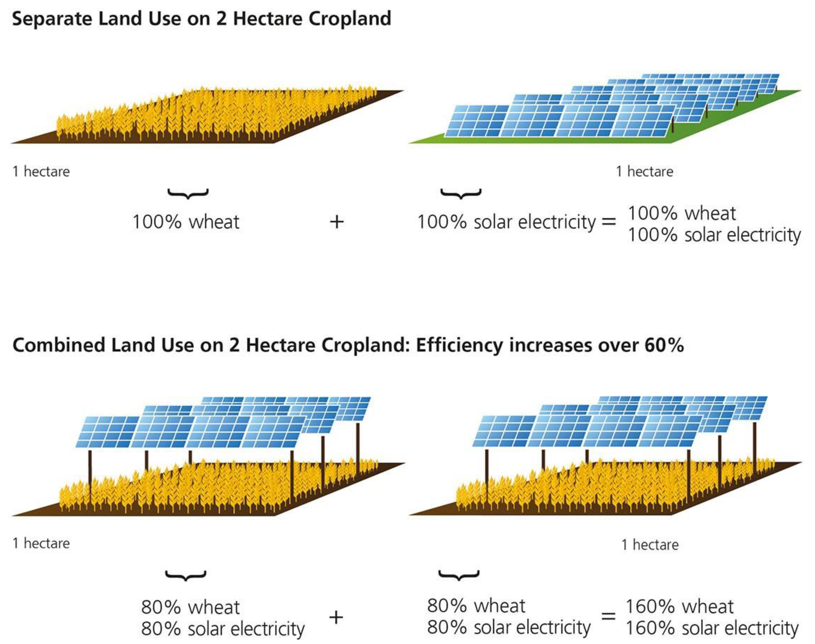Challenges 13 00043 g002 550