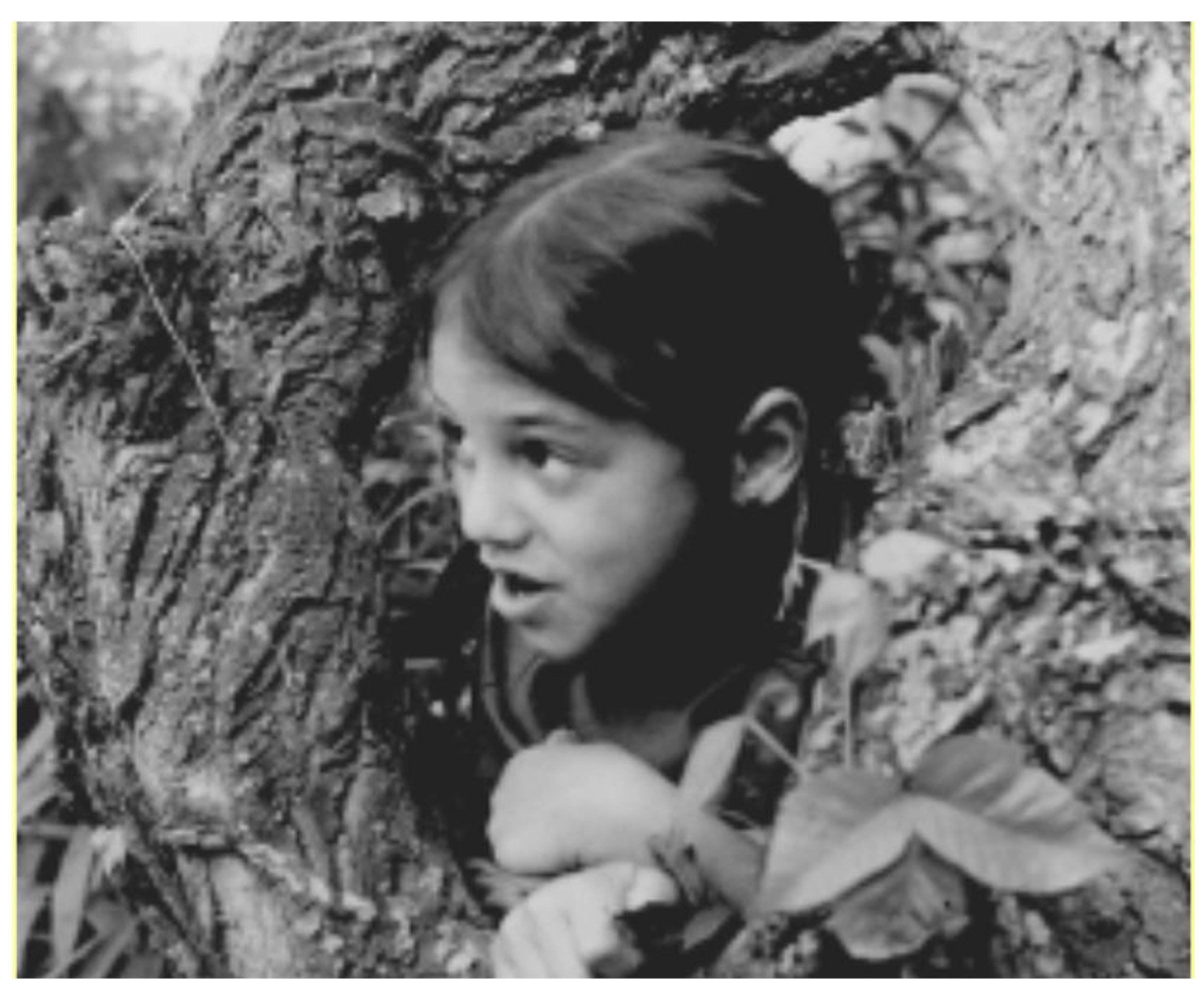 Challenges 13 00061 g002