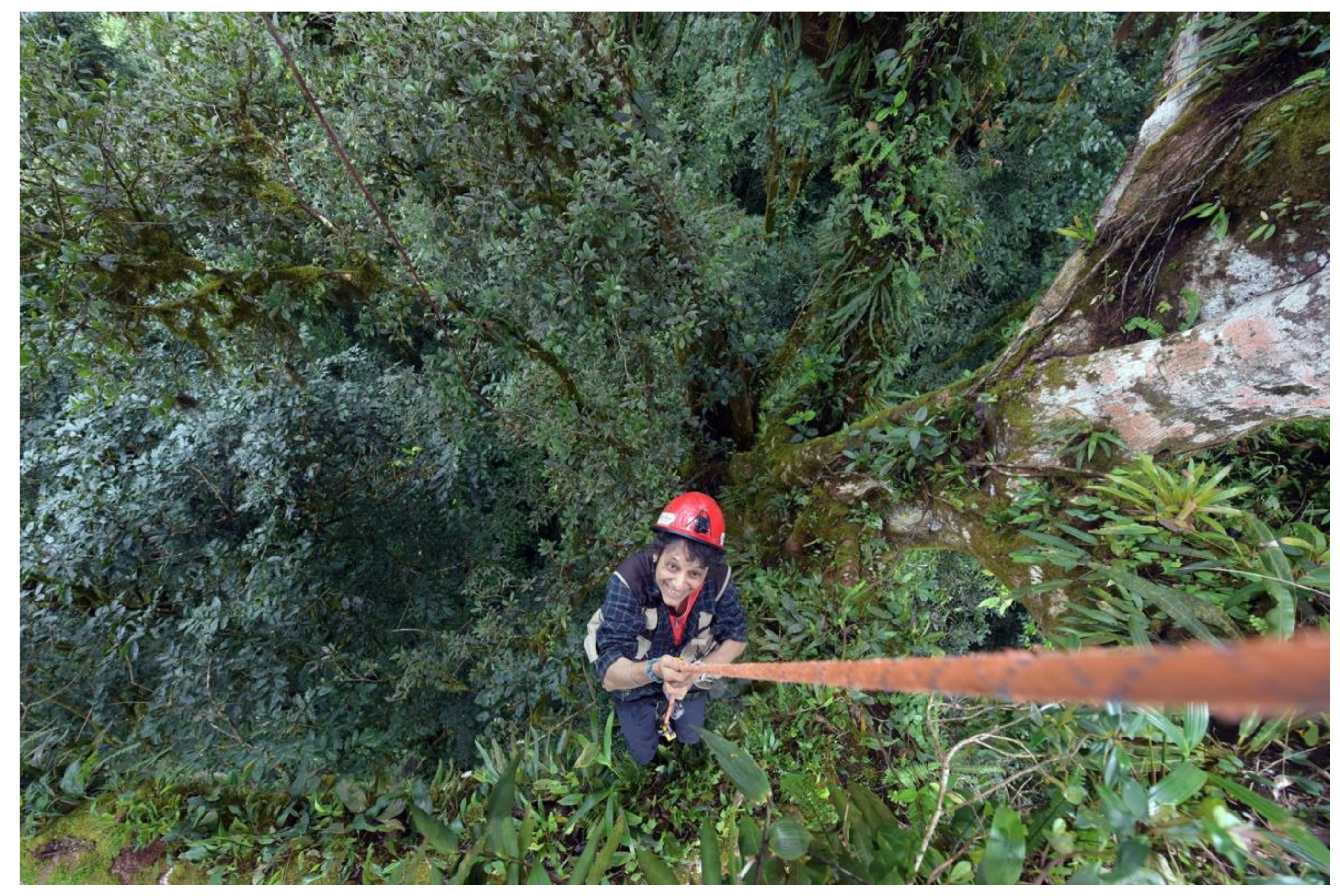 Challenges 13 00061 g003