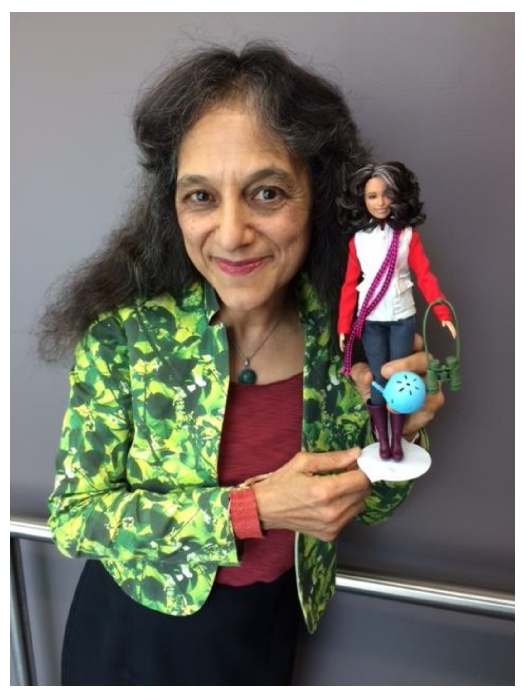 Challenges 13 00061 g004