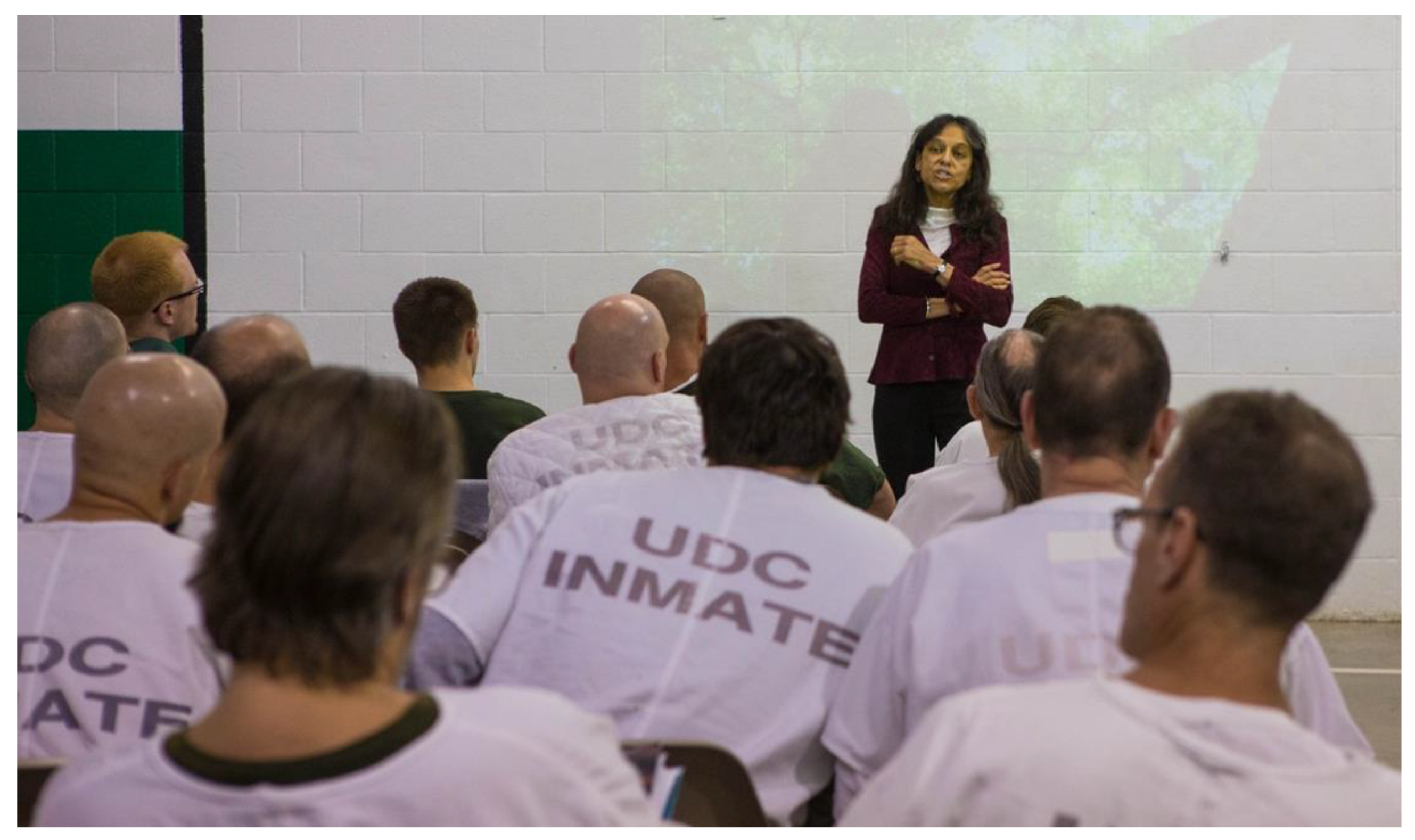 Challenges 13 00061 g005