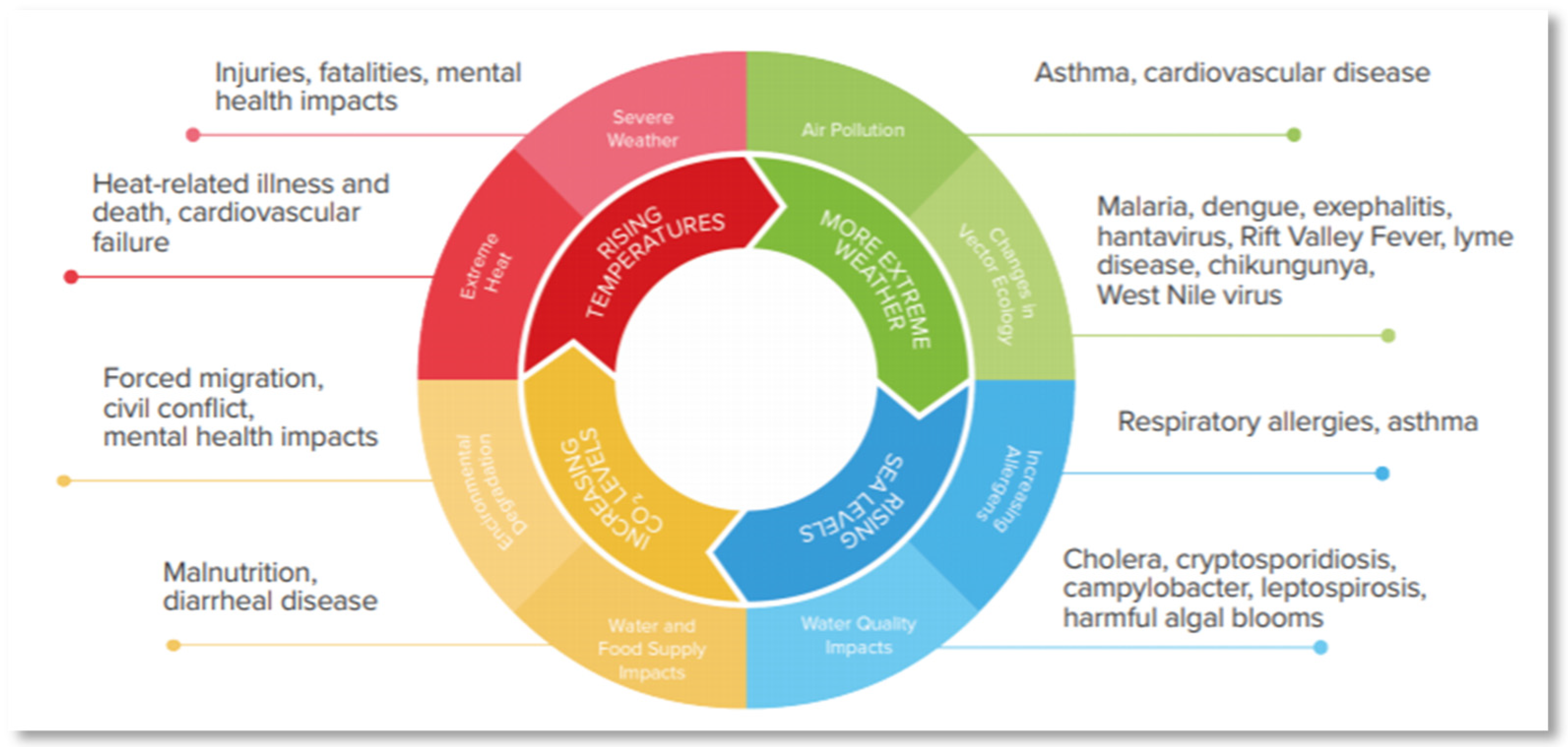 Challenges Free FullText Transitioning to Sustainable Healthcare