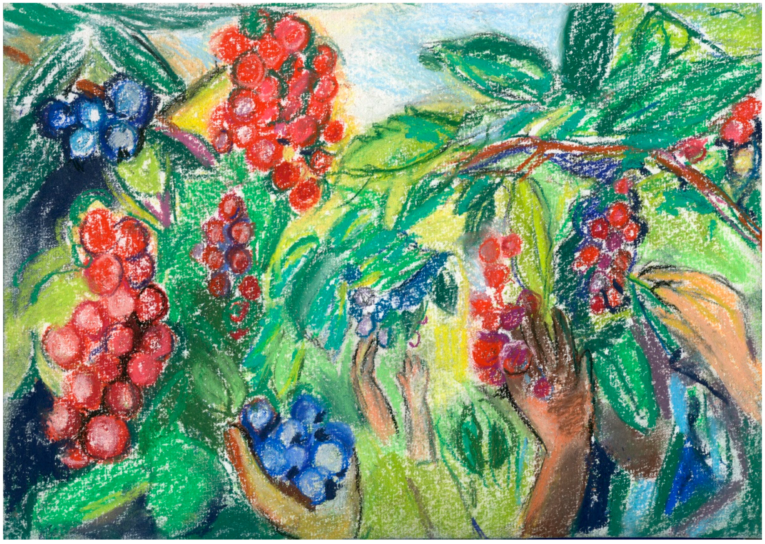 Challenges 14 00049 g003 Challenges 14 00049 g003