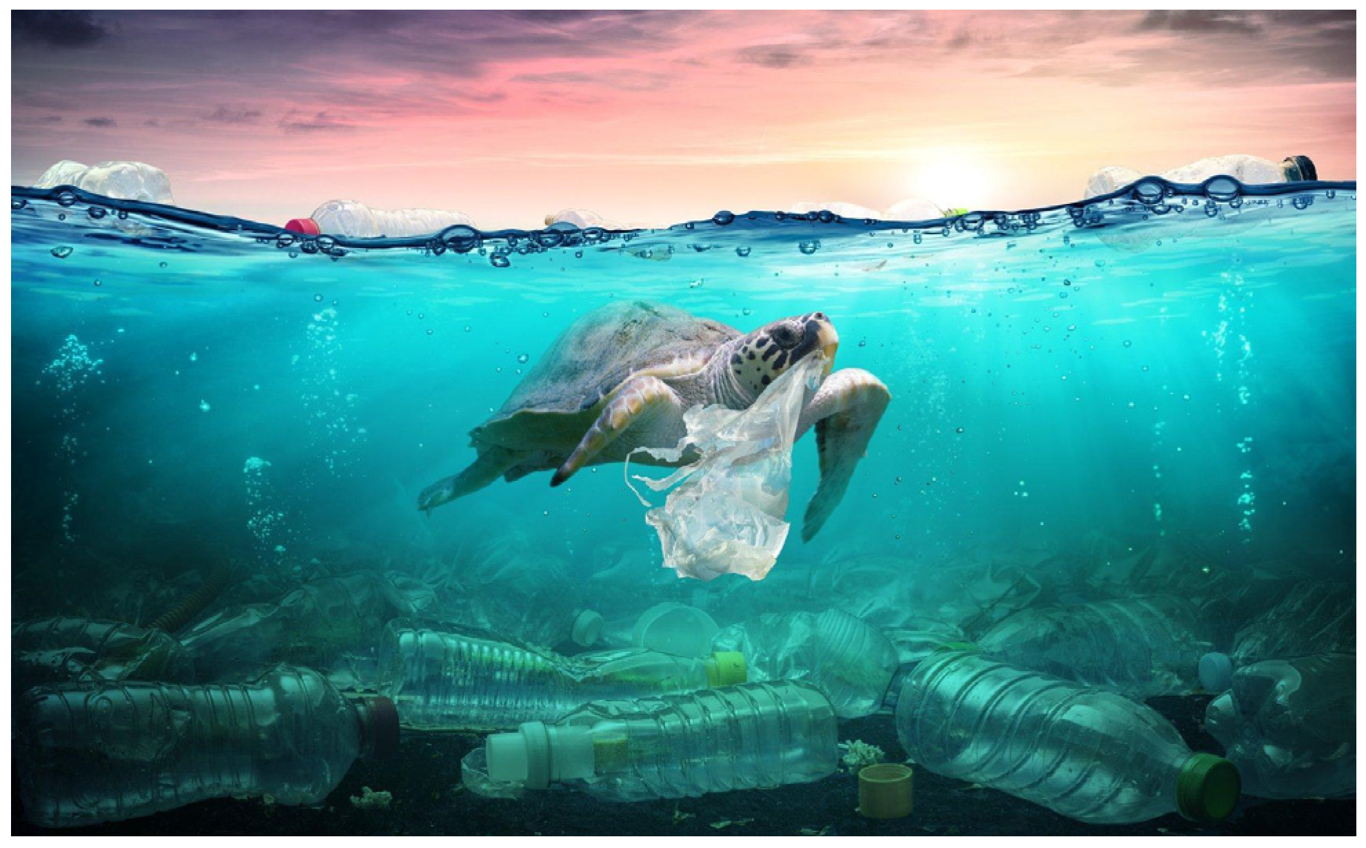 Challenges 15 00001 g001