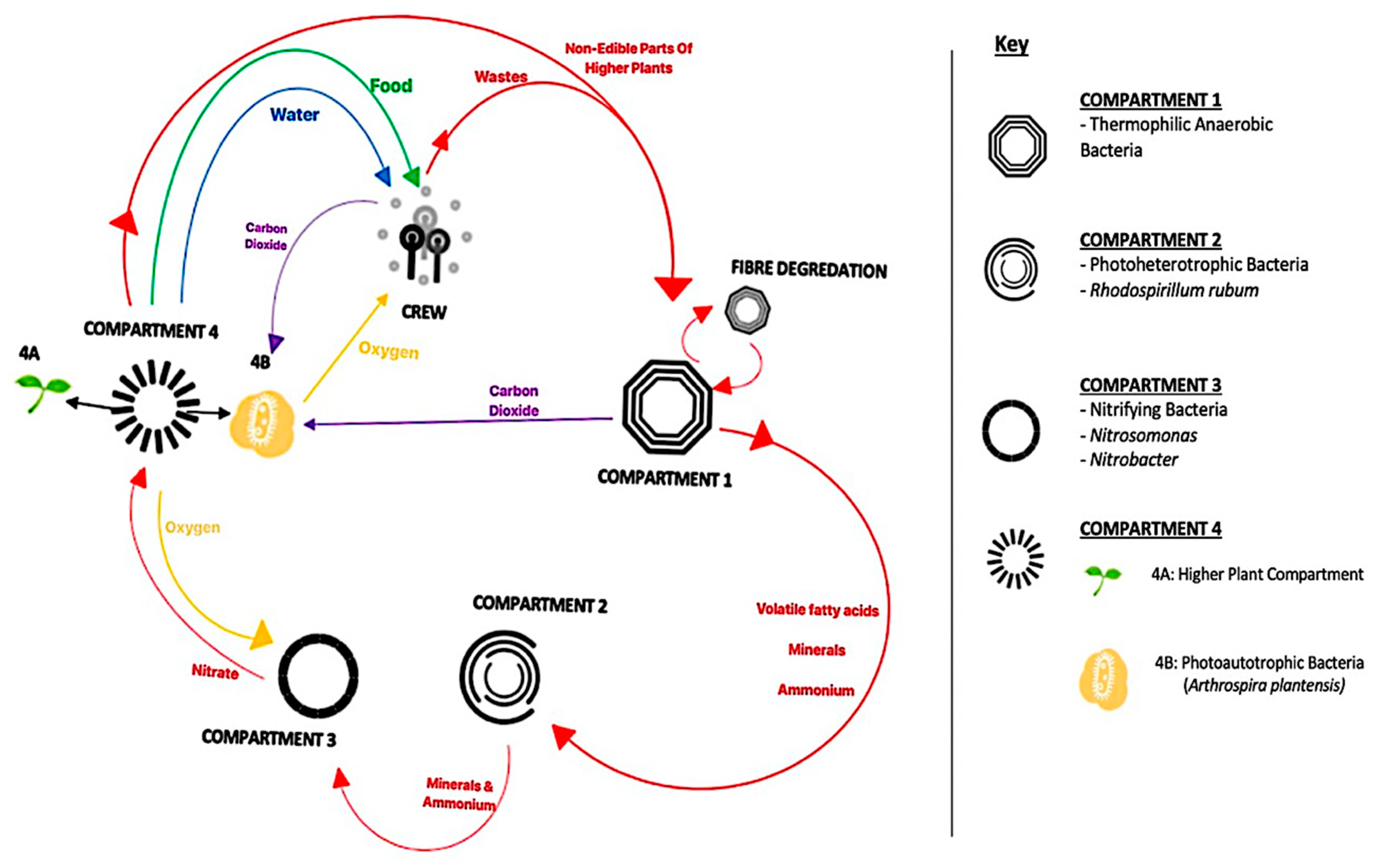 Challenges 15 00005 g002