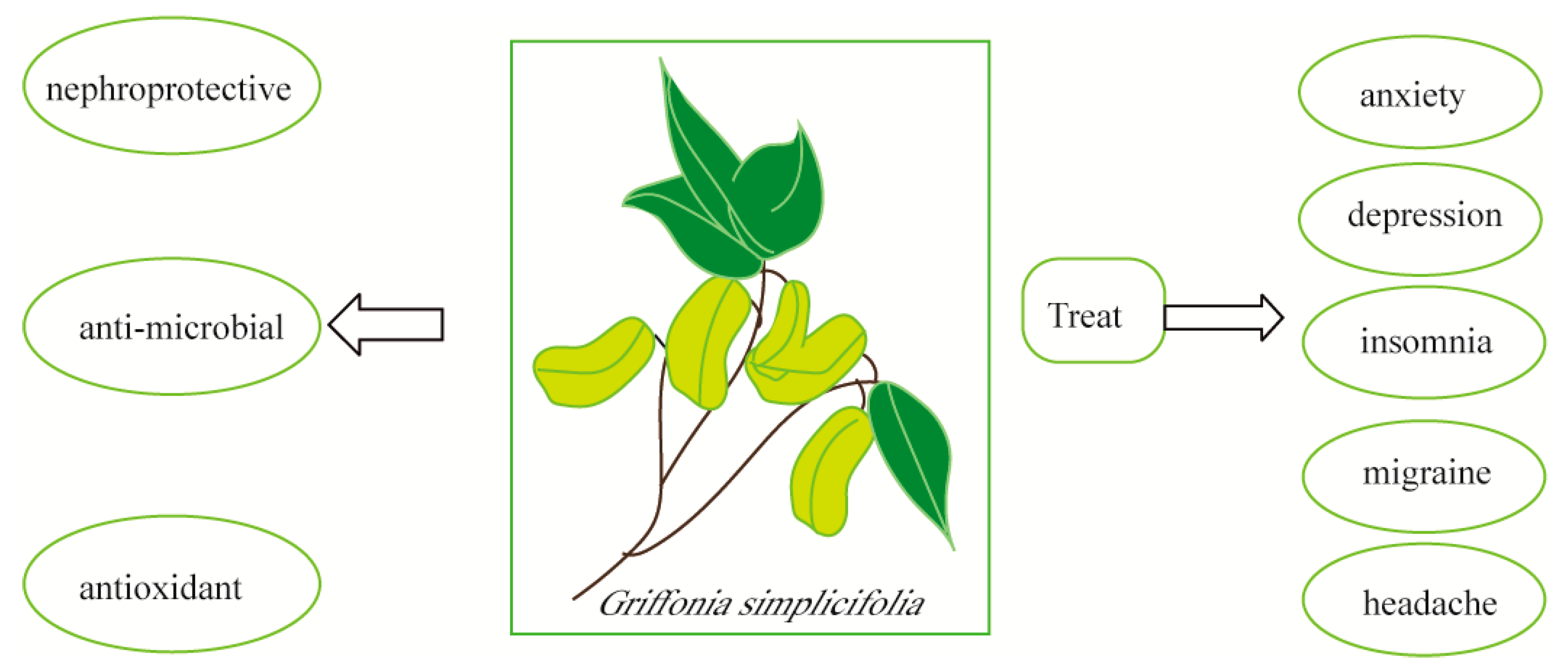 Benefits of Griffonia Simplicifolia Extract