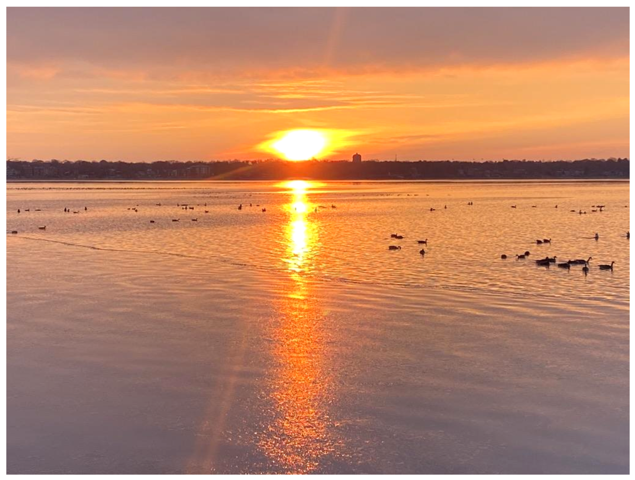 Challenges 15 00046 g003