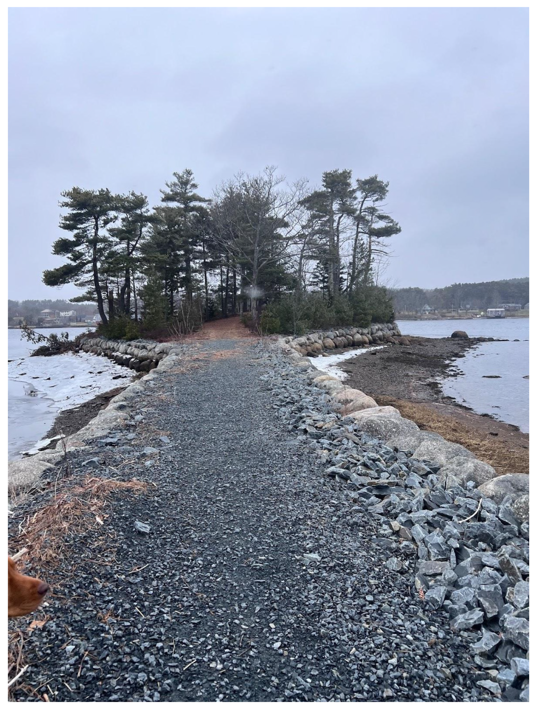 Challenges 15 00046 g005