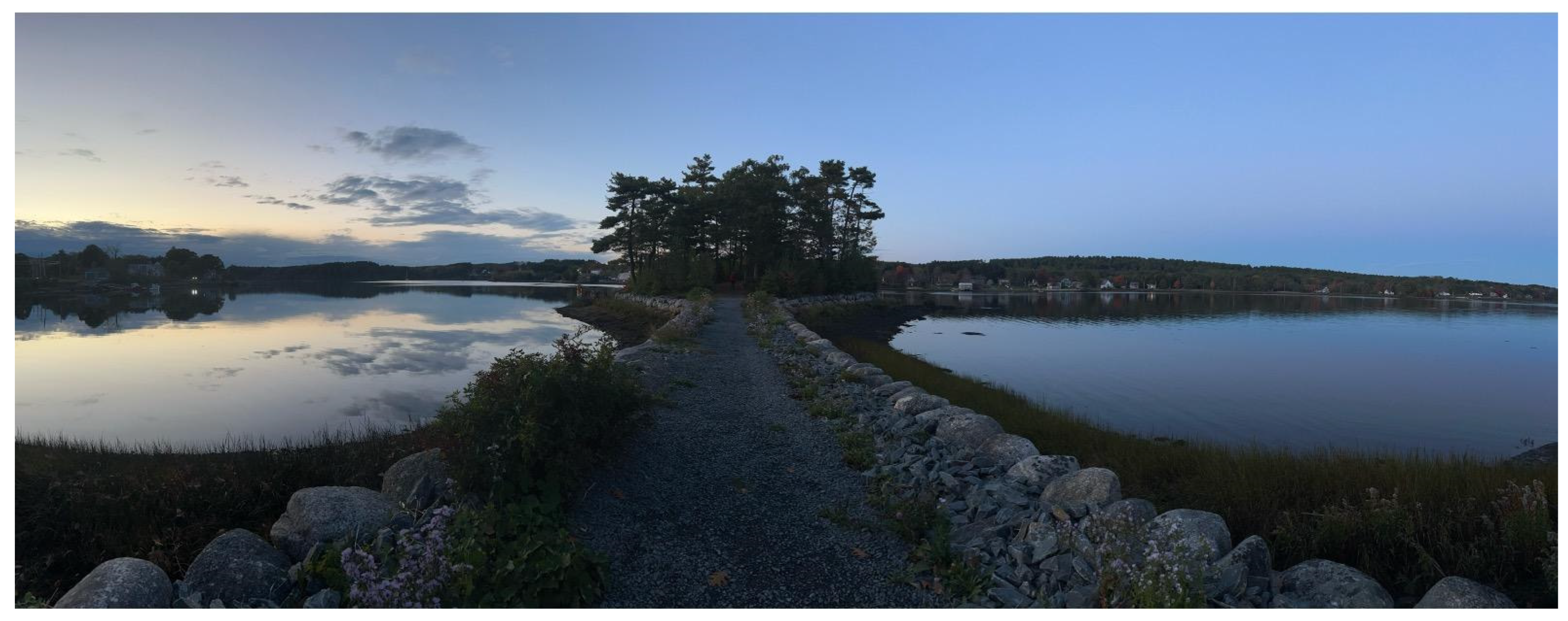 Challenges 15 00046 g007