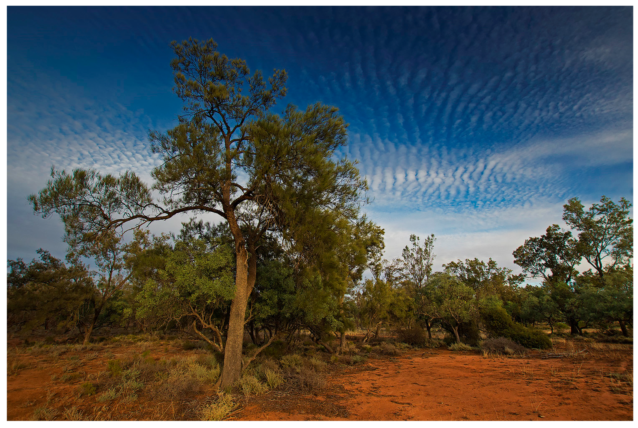 Challenges 16 00011 g001