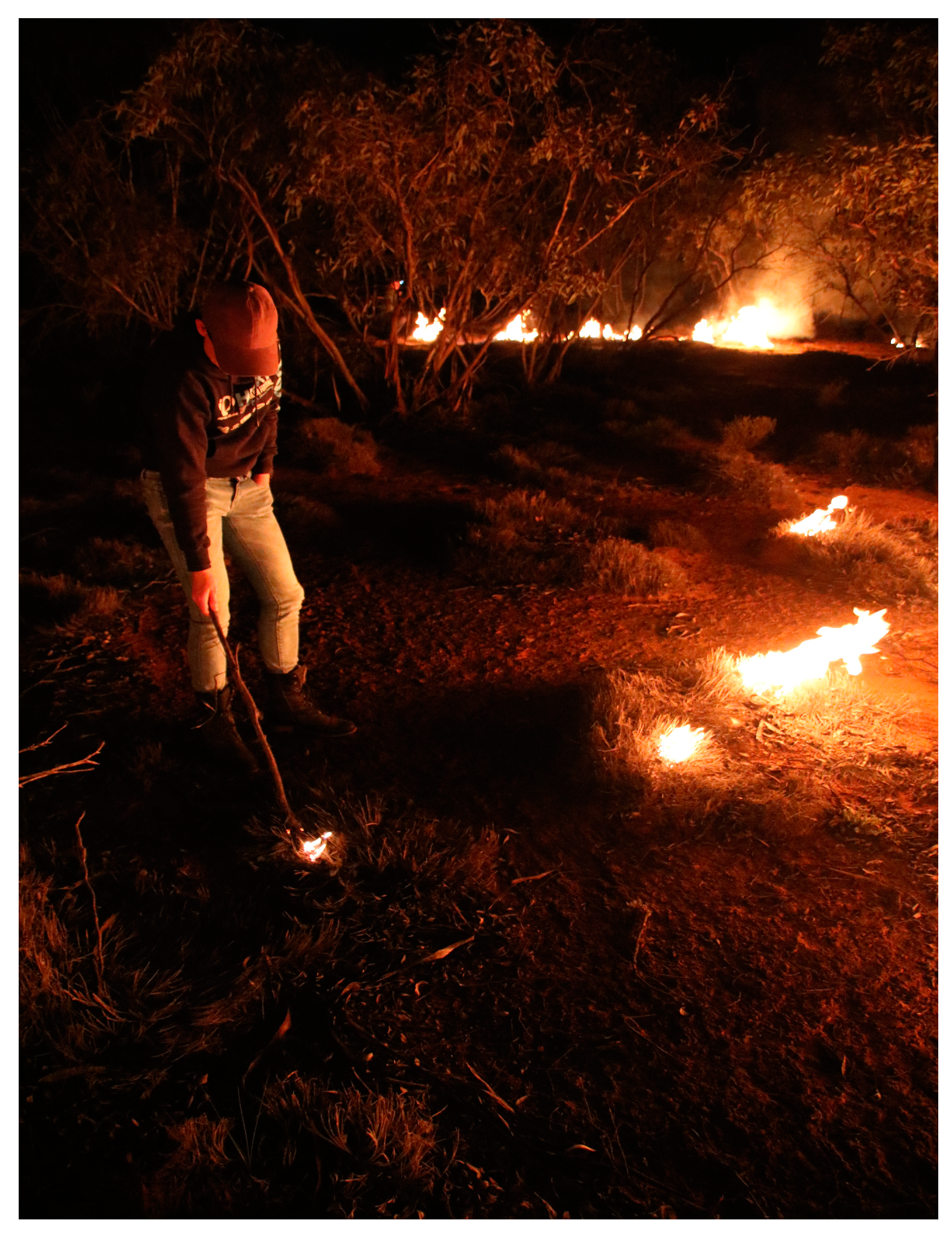 Challenges 16 00011 g002