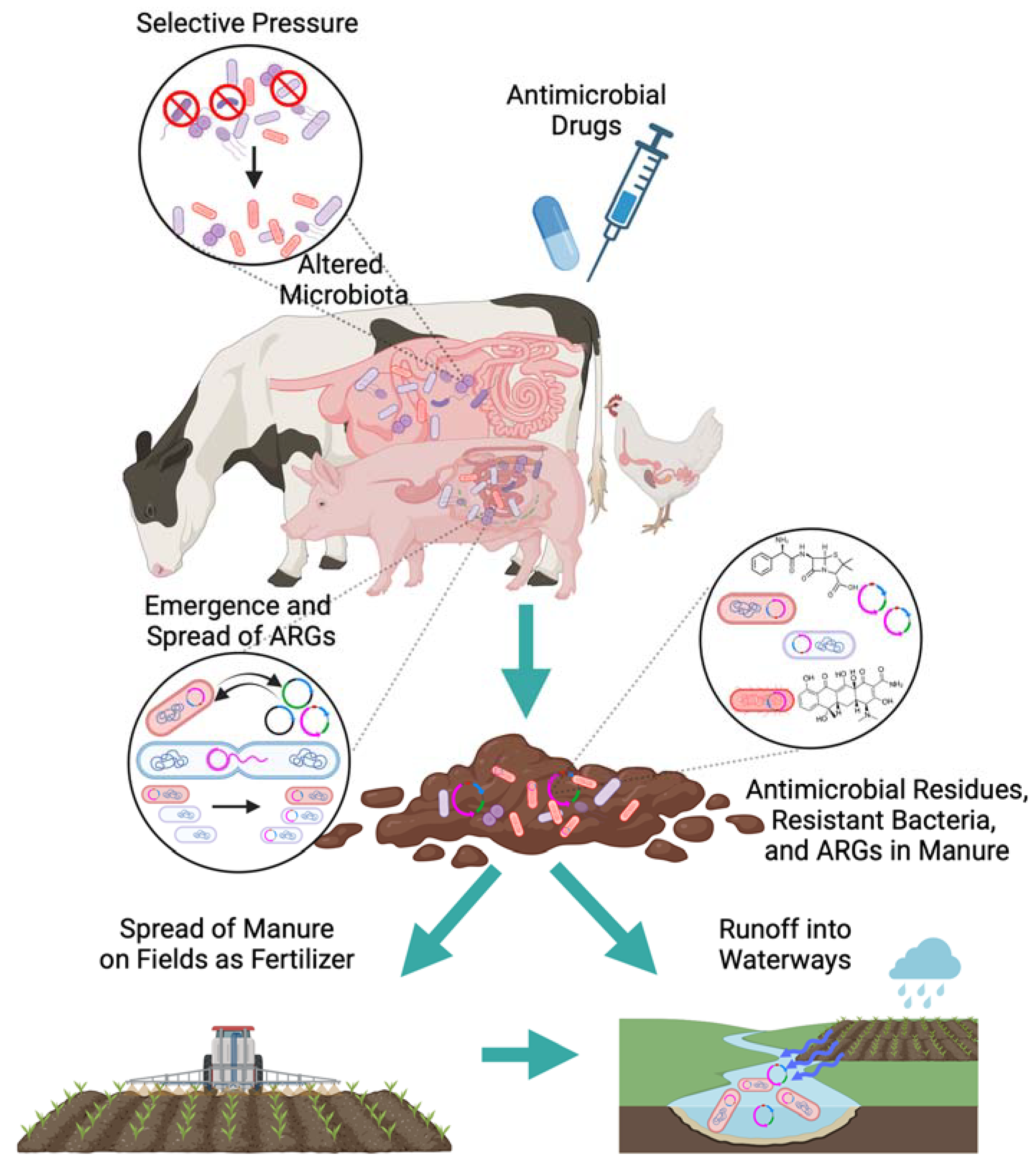 Challenges 16 00022 g002