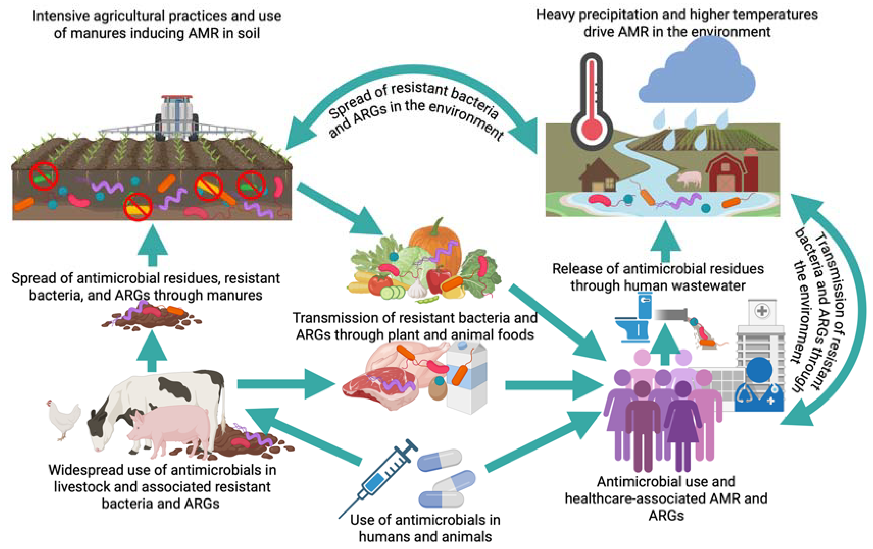 Challenges 16 00022 g005