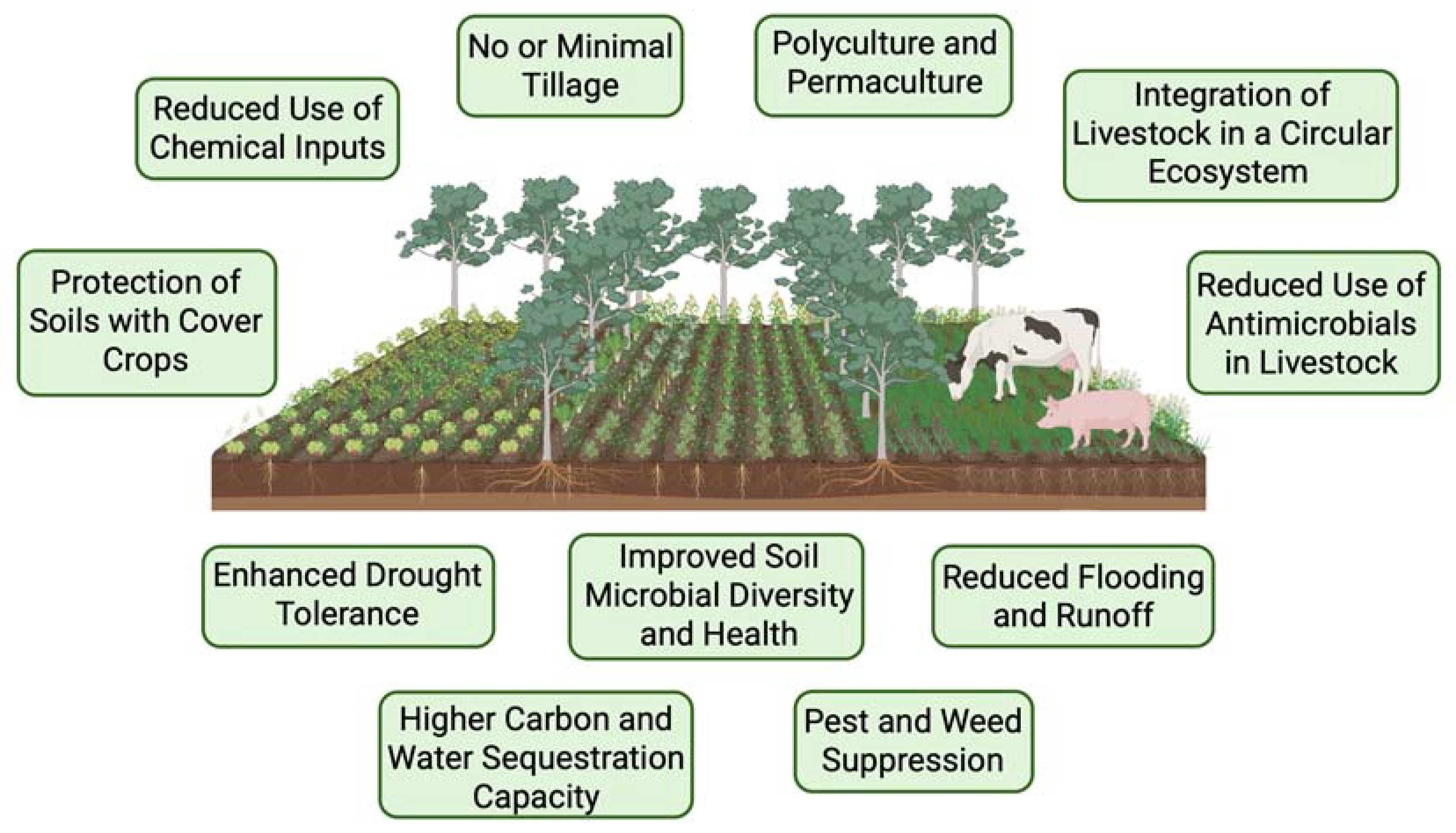 Challenges 16 00022 g006