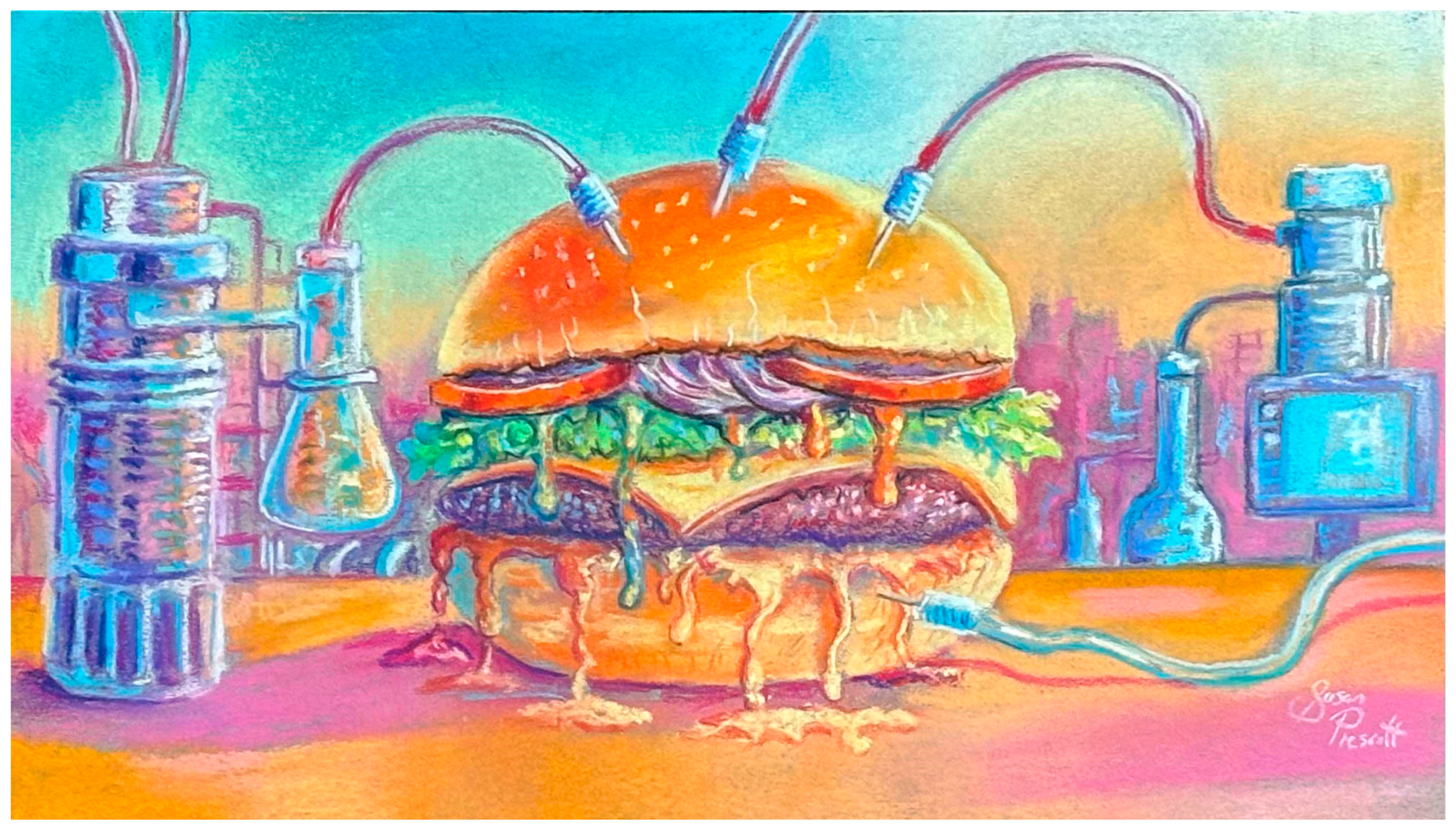 Challenges 16 00033 g001