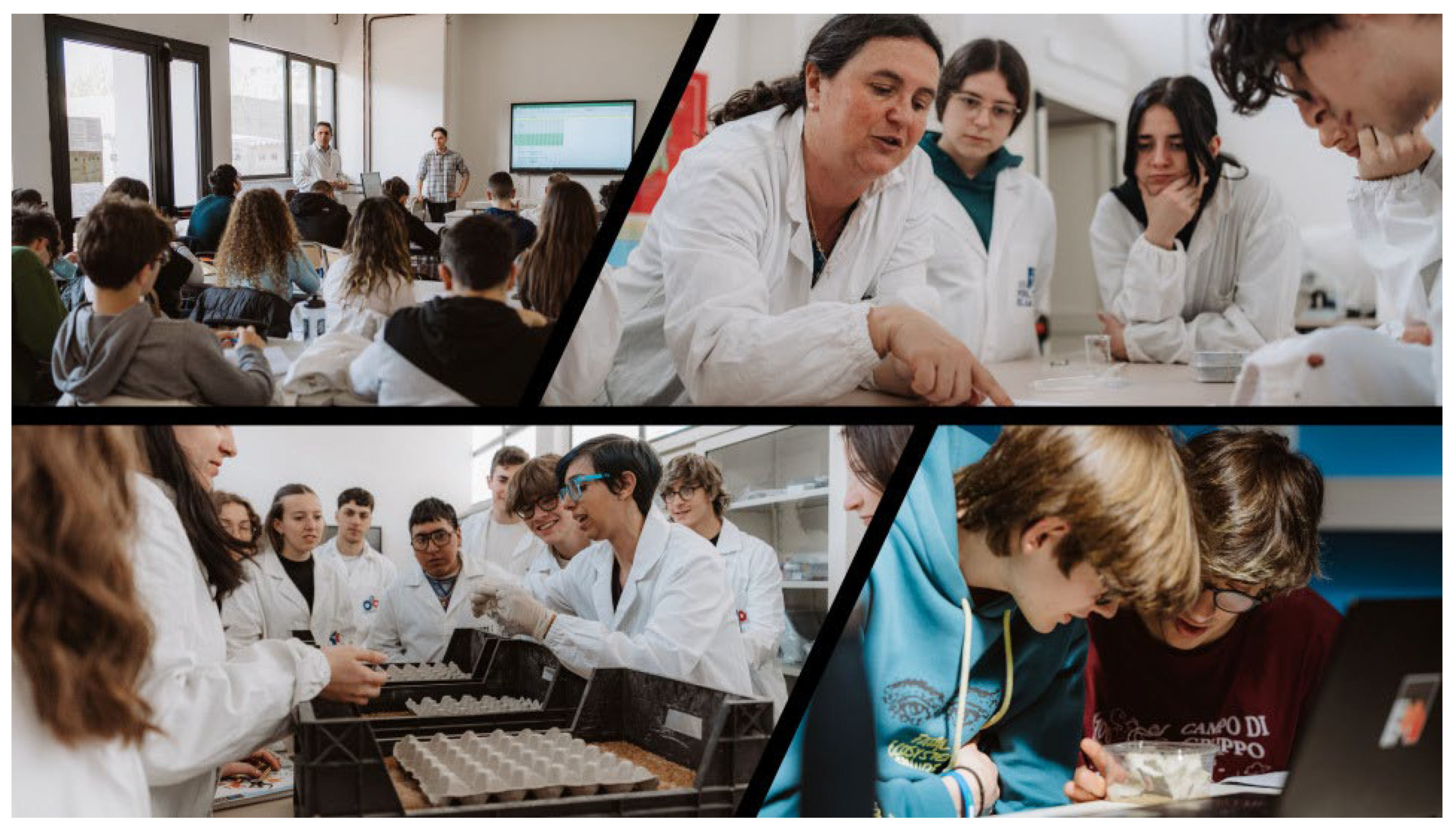 Challenges 16 00053 g005 Challenges 16 00053 g005