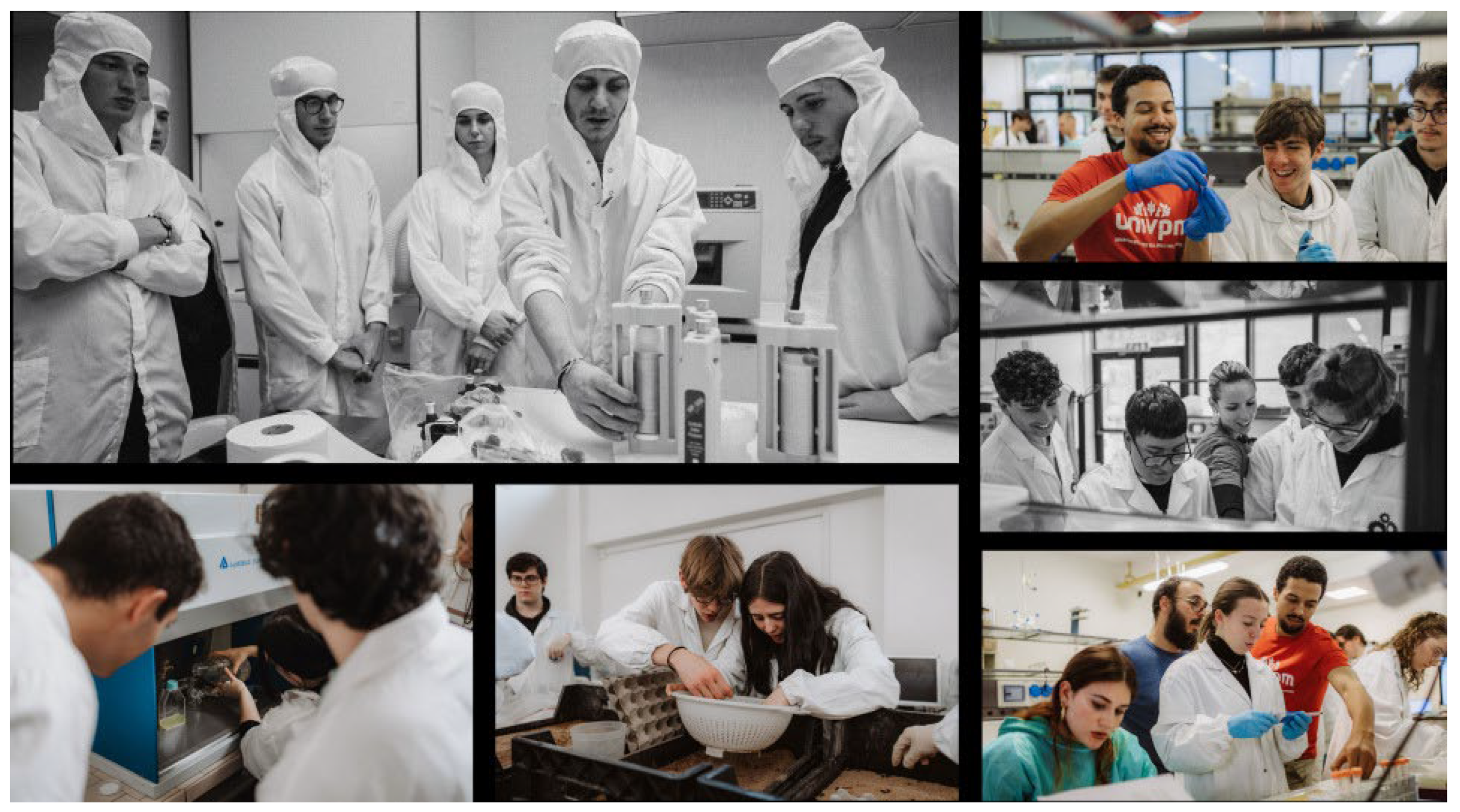 Challenges 16 00053 g006 Challenges 16 00053 g006