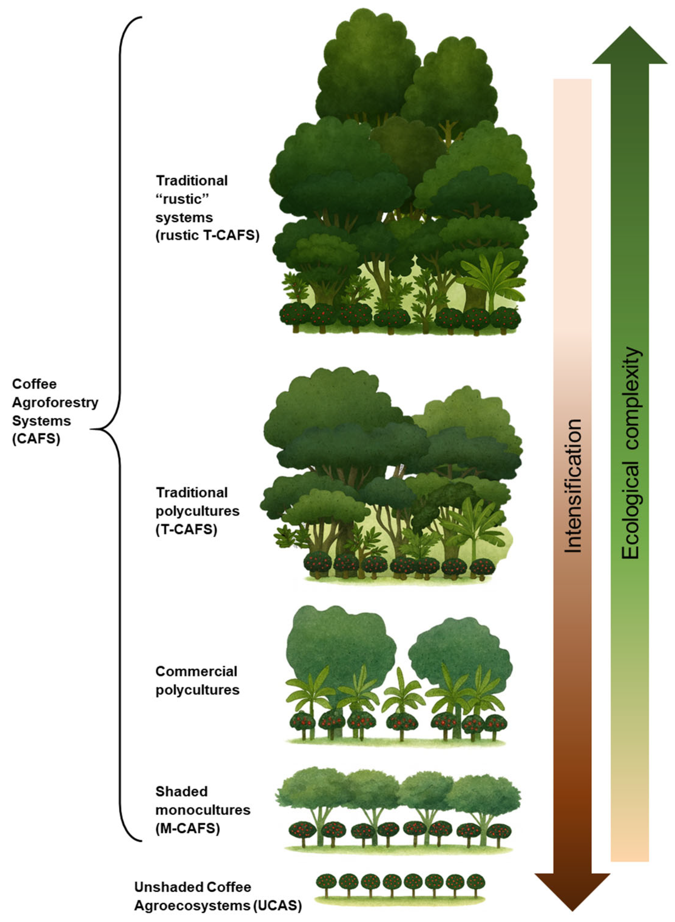 Challenges 16 00057 g002