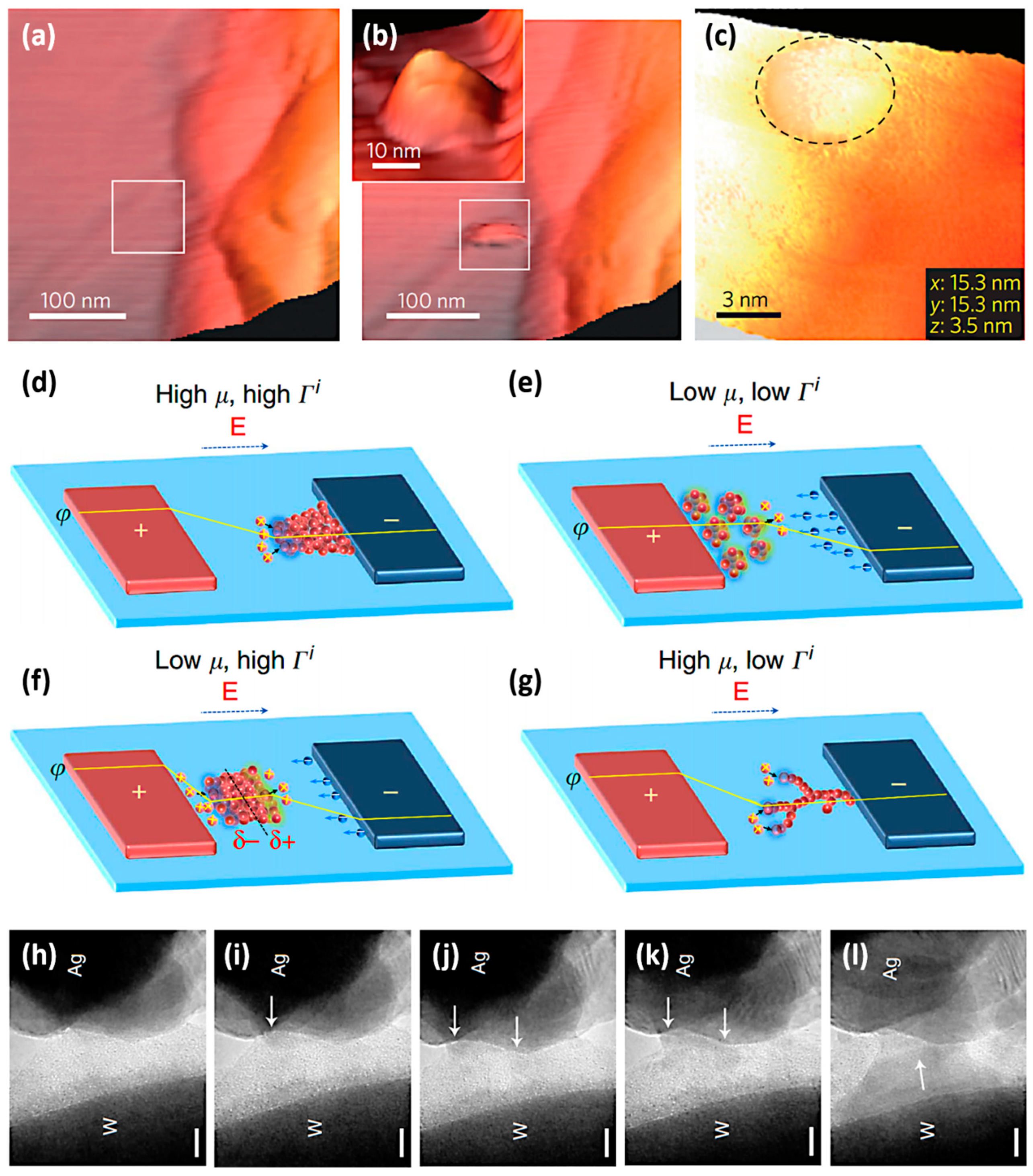 Chemistry 01 00005 g004