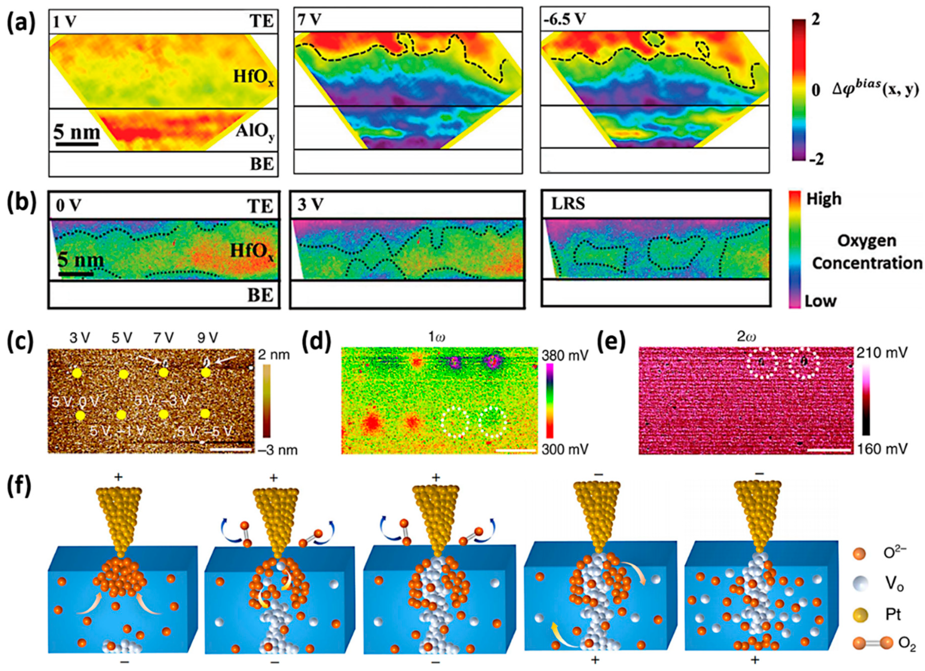 Chemistry 01 00005 g006