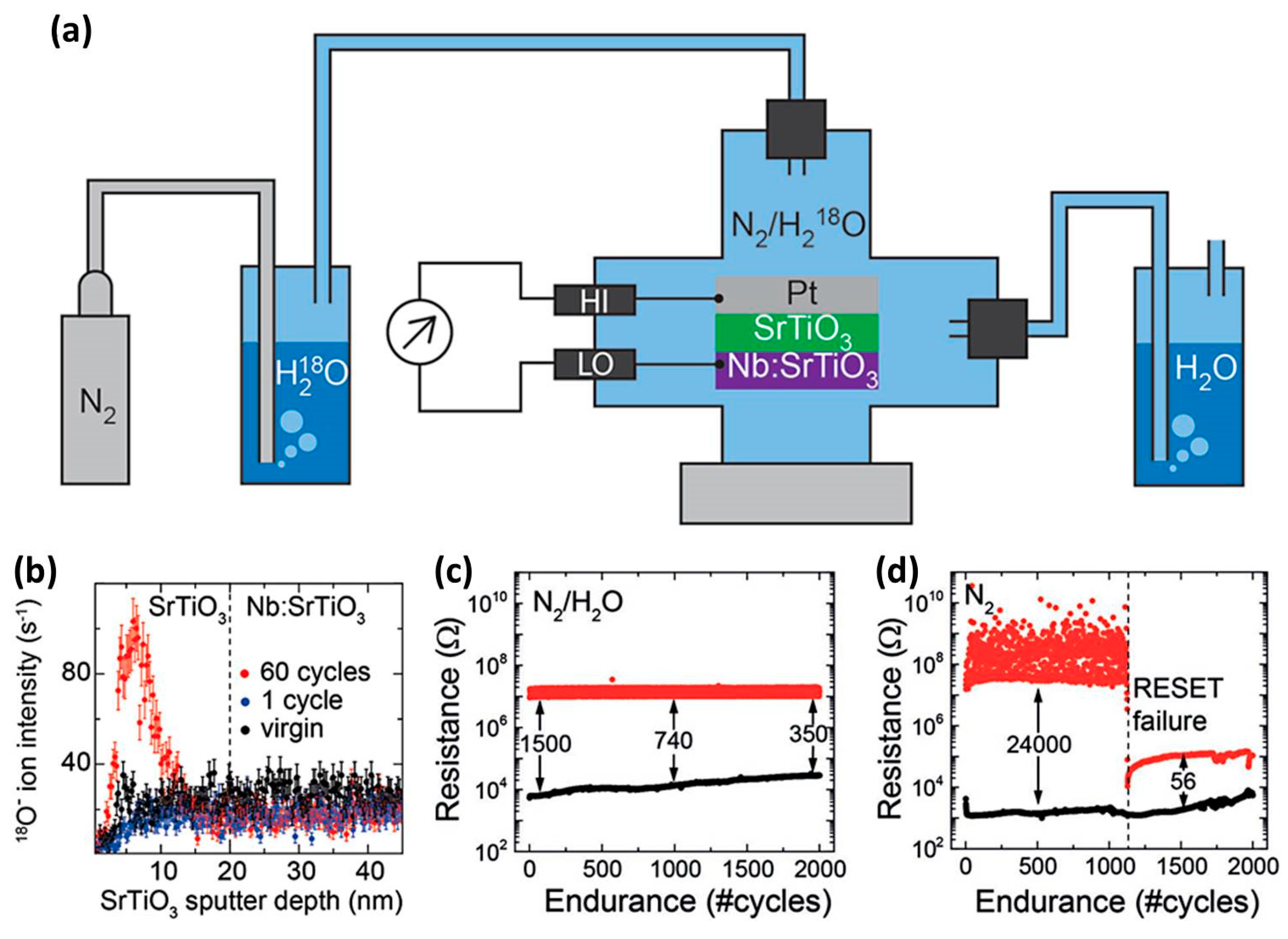 Chemistry 01 00005 g012