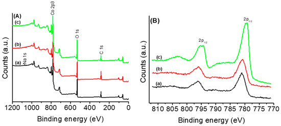 Chemistry Free Full Text Effect Of Hydrazine Pretreatment On The Activity Stability And Active Sites Of Cobalt Species For Preferential Oxidation Prox Of Co In H2 Rich Stream Html