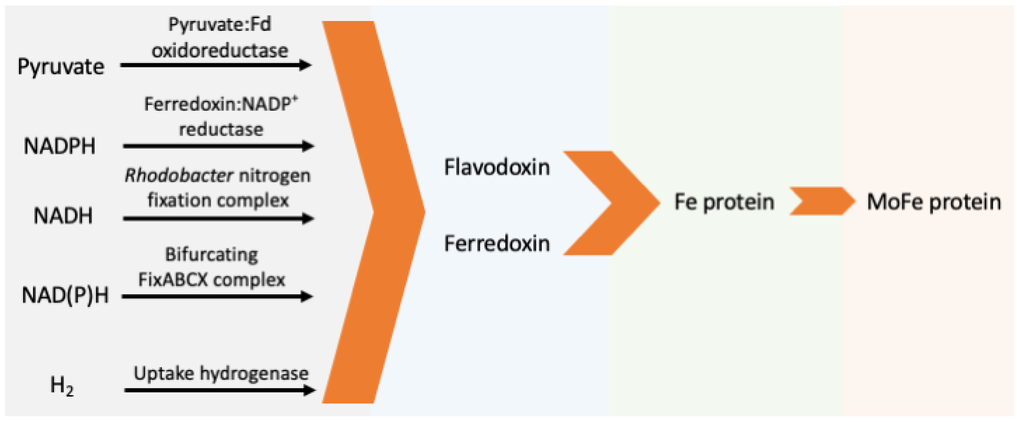 Chemistry 02 00021 g003
