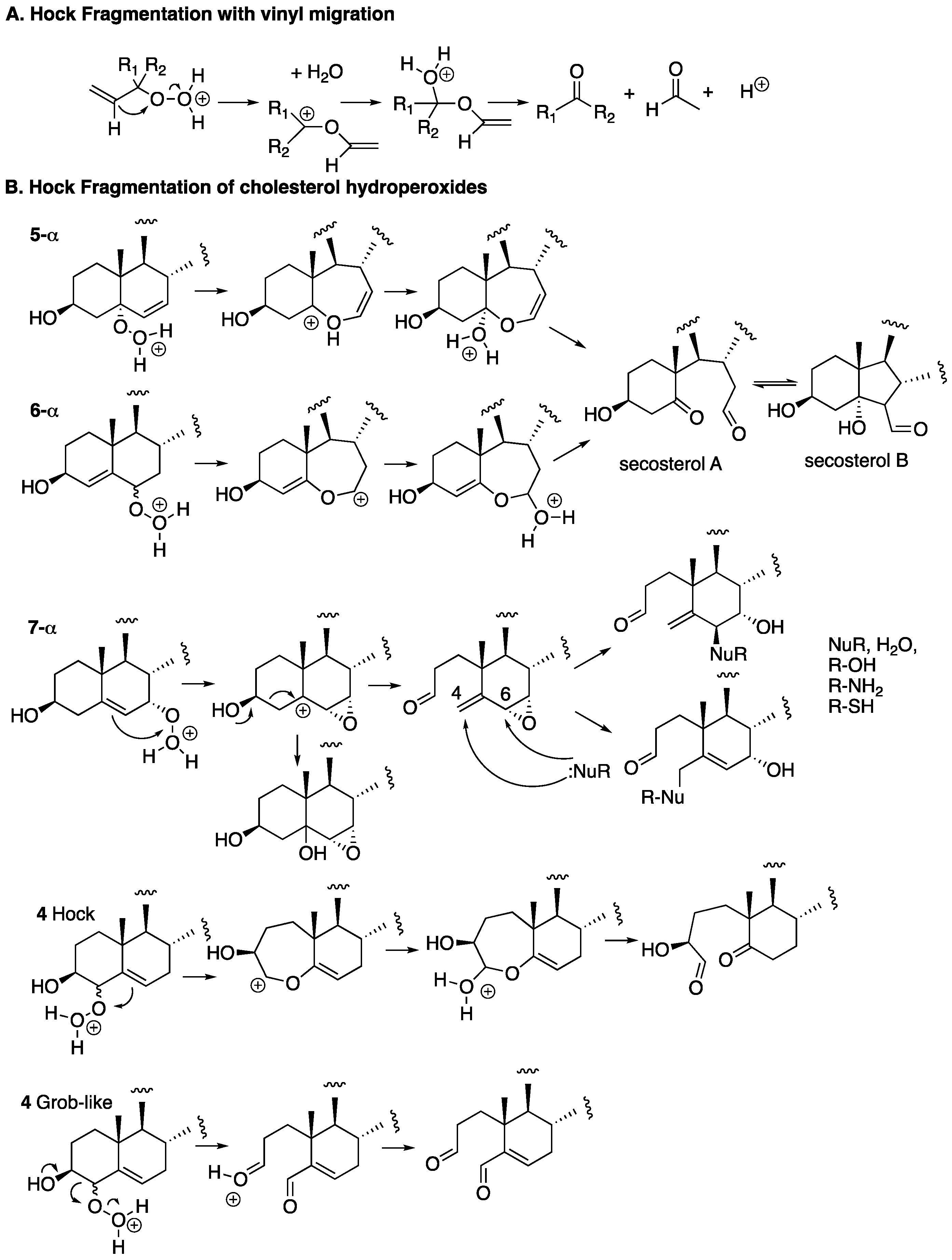 Chemistry 02 00025 g007