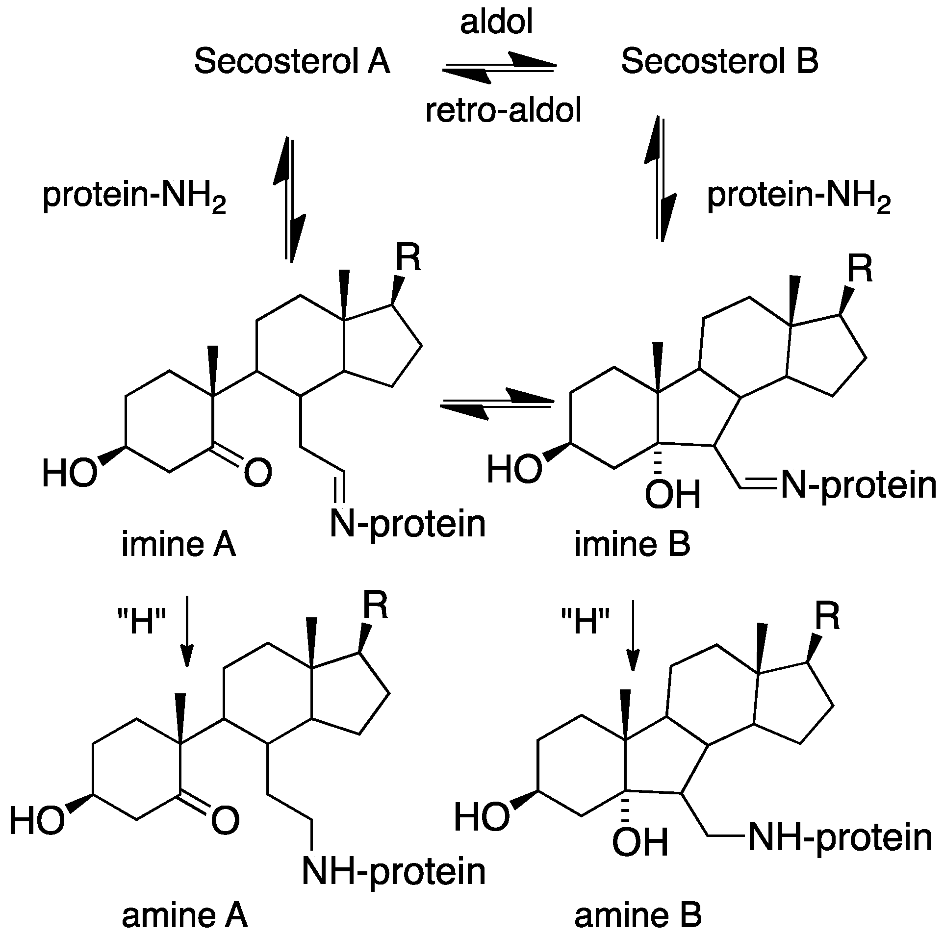 Chemistry 02 00025 g012