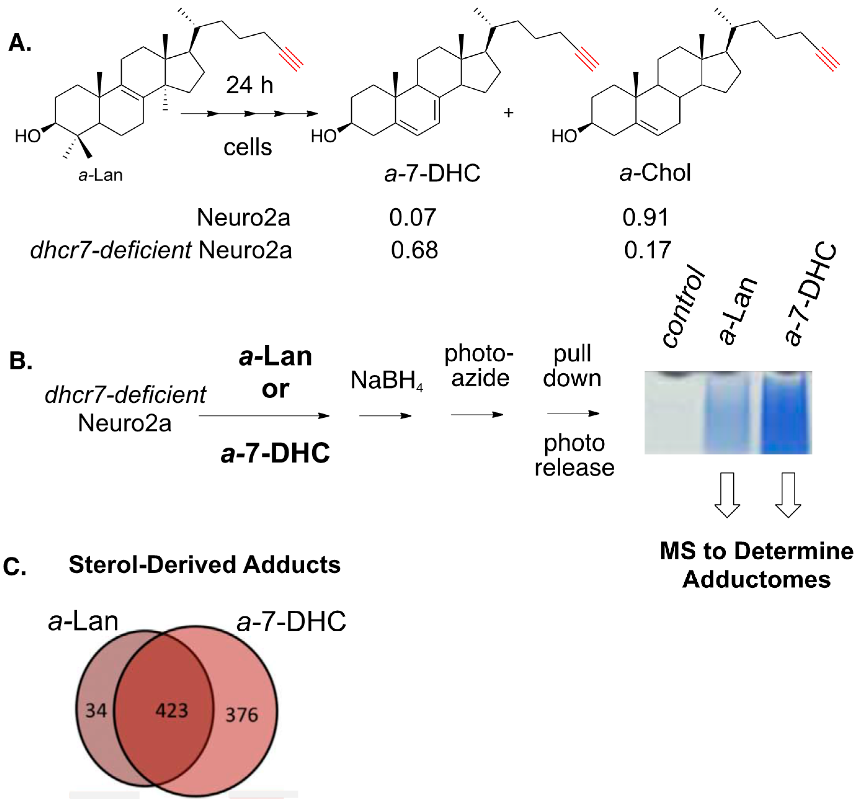 Chemistry 02 00025 g017