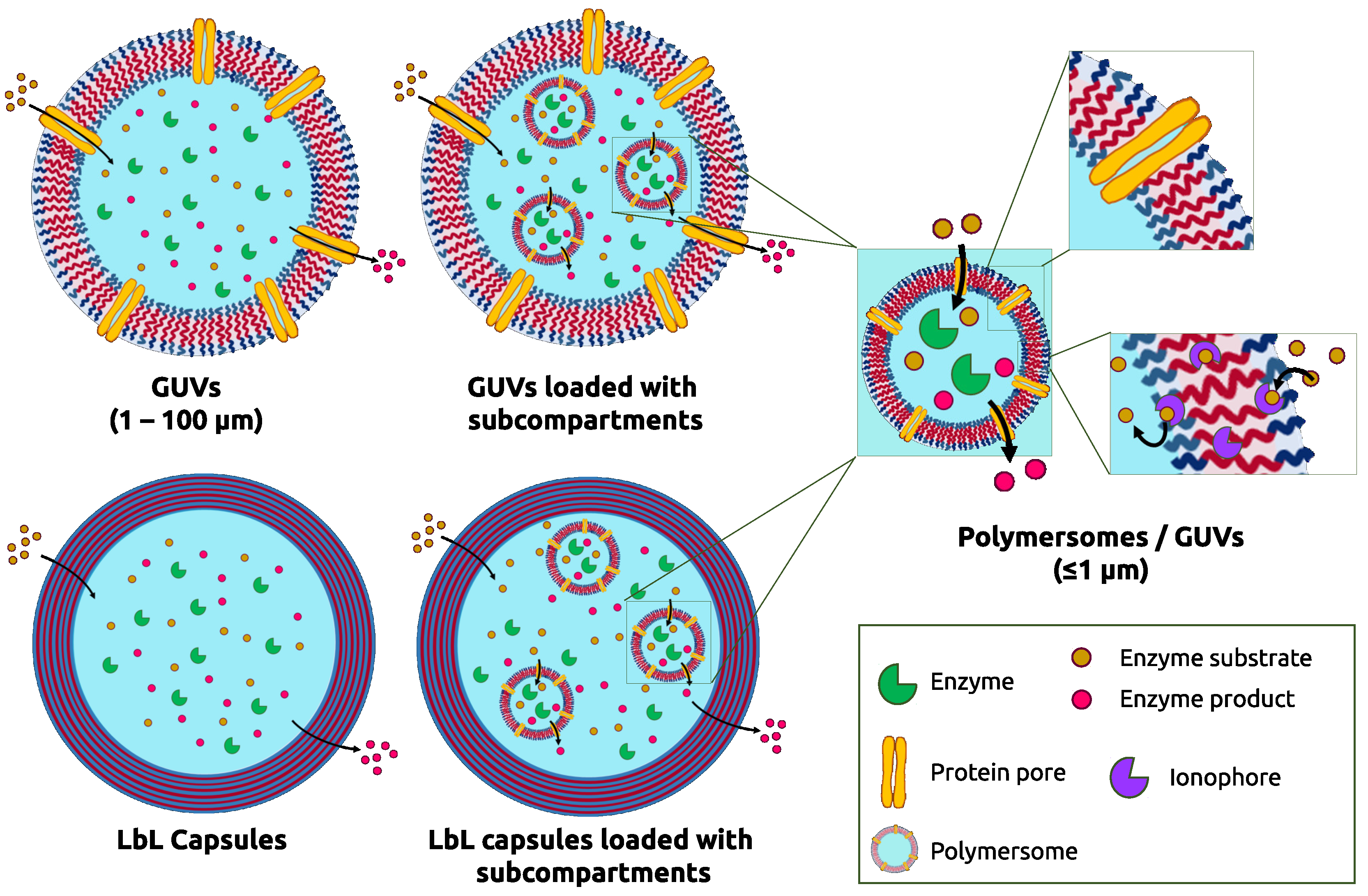 Chemistry 02 00028 g001